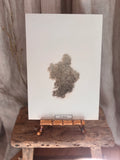 Vintage Pressed Swedish Herbarium D.4. Renlav (Reindeer Lichen)