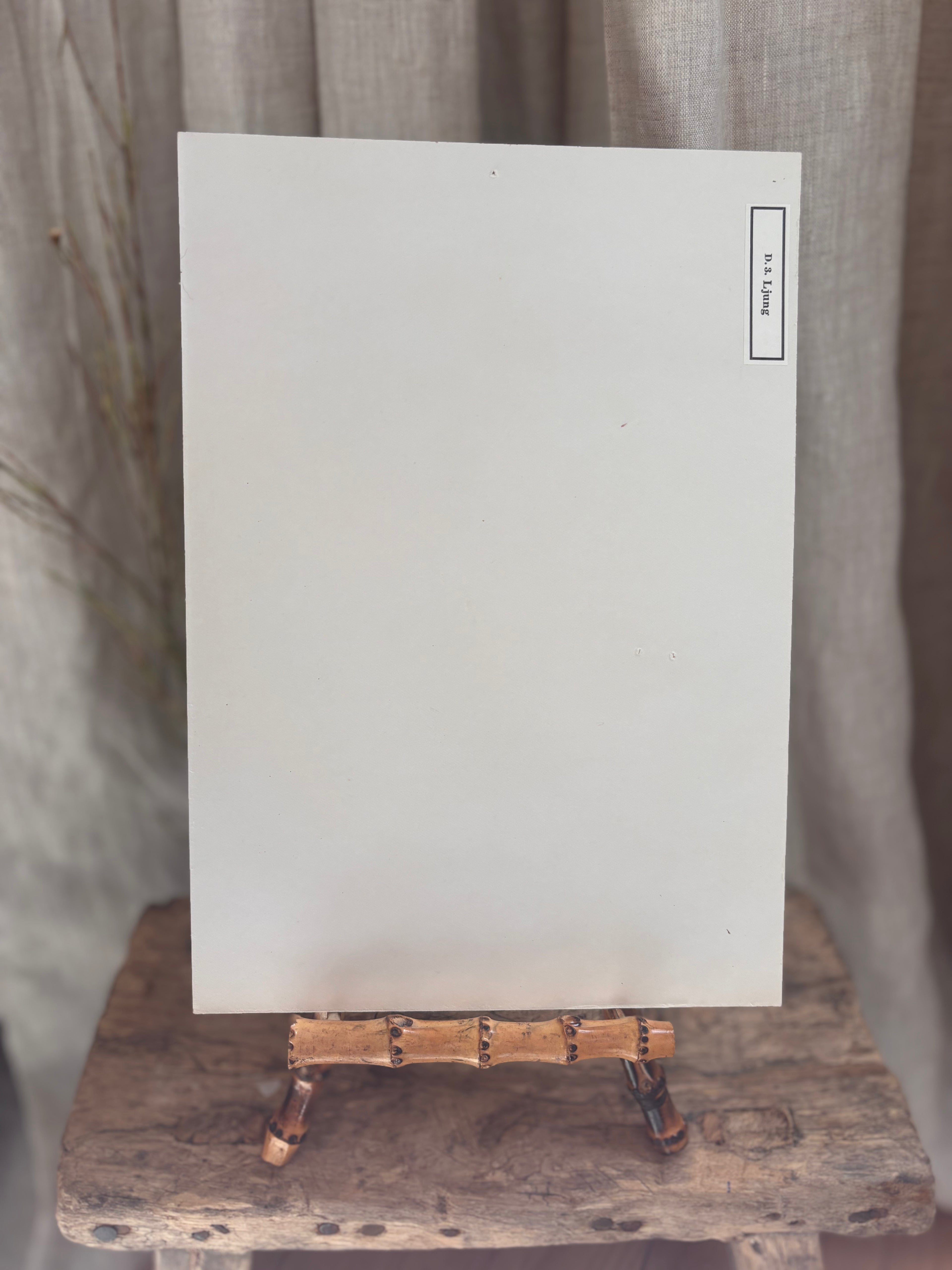 Vintage Pressed Swedish Herbarium D.3. Ljung (Heather)