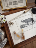 Antique Early 19th-Century French Indian Rhinoceros Zoological Engraving in Custom Fine Frame