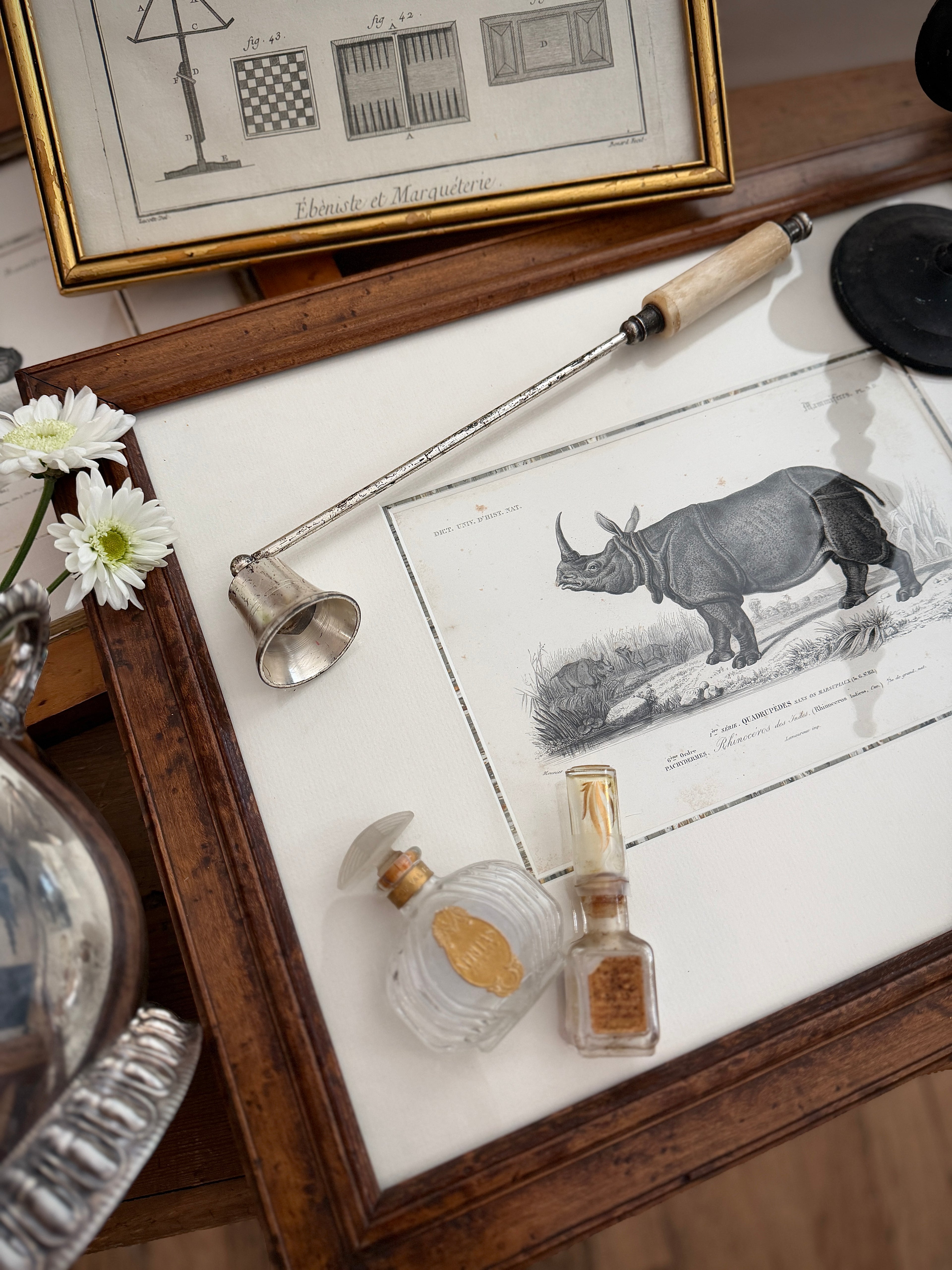 Antique Early 19th-Century French Indian Rhinoceros Zoological Engraving in Custom Fine Frame
