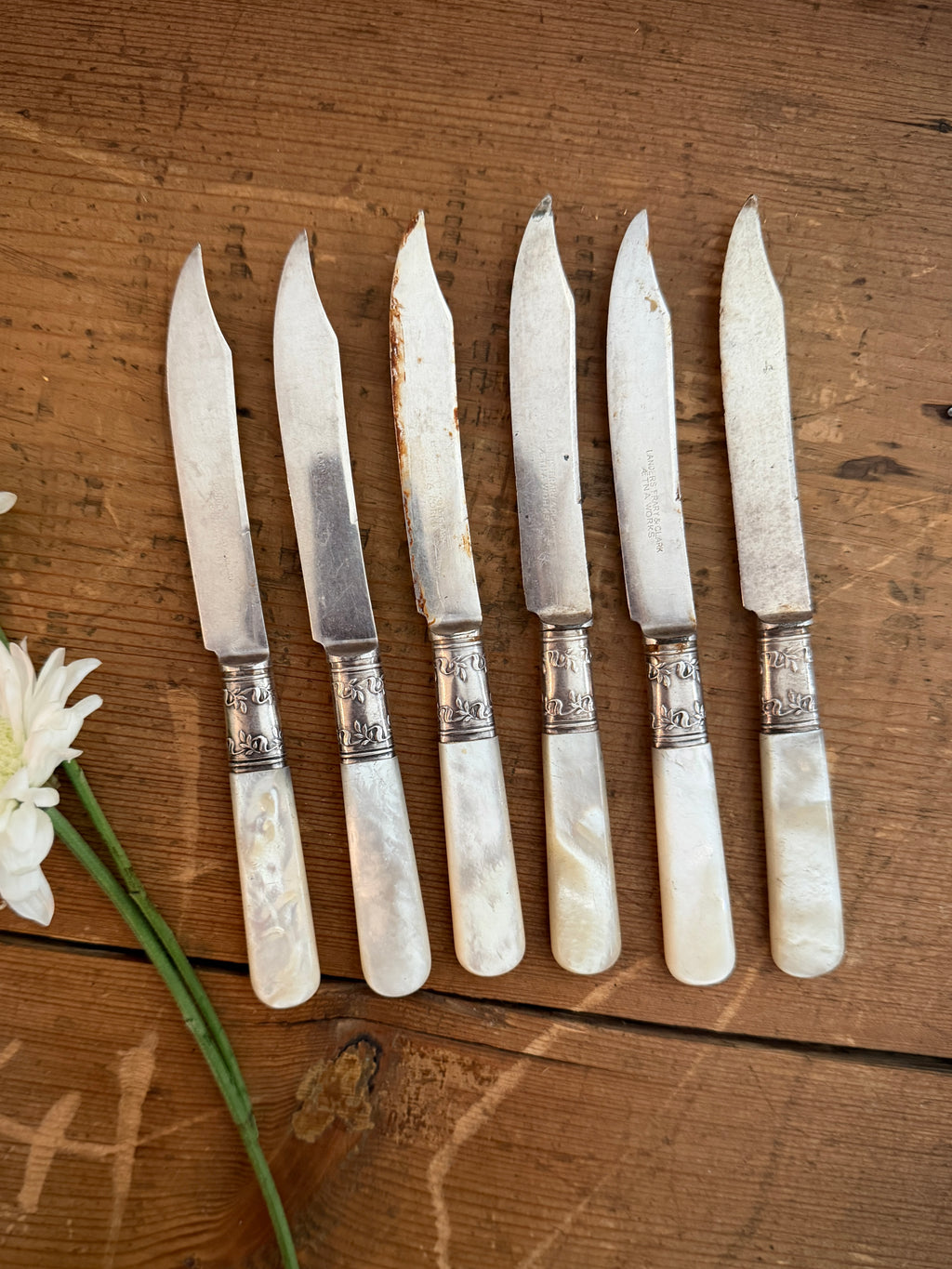 Set of 6 Vintage Mother-of-Pearl and Silver-Plated Fruit Knives