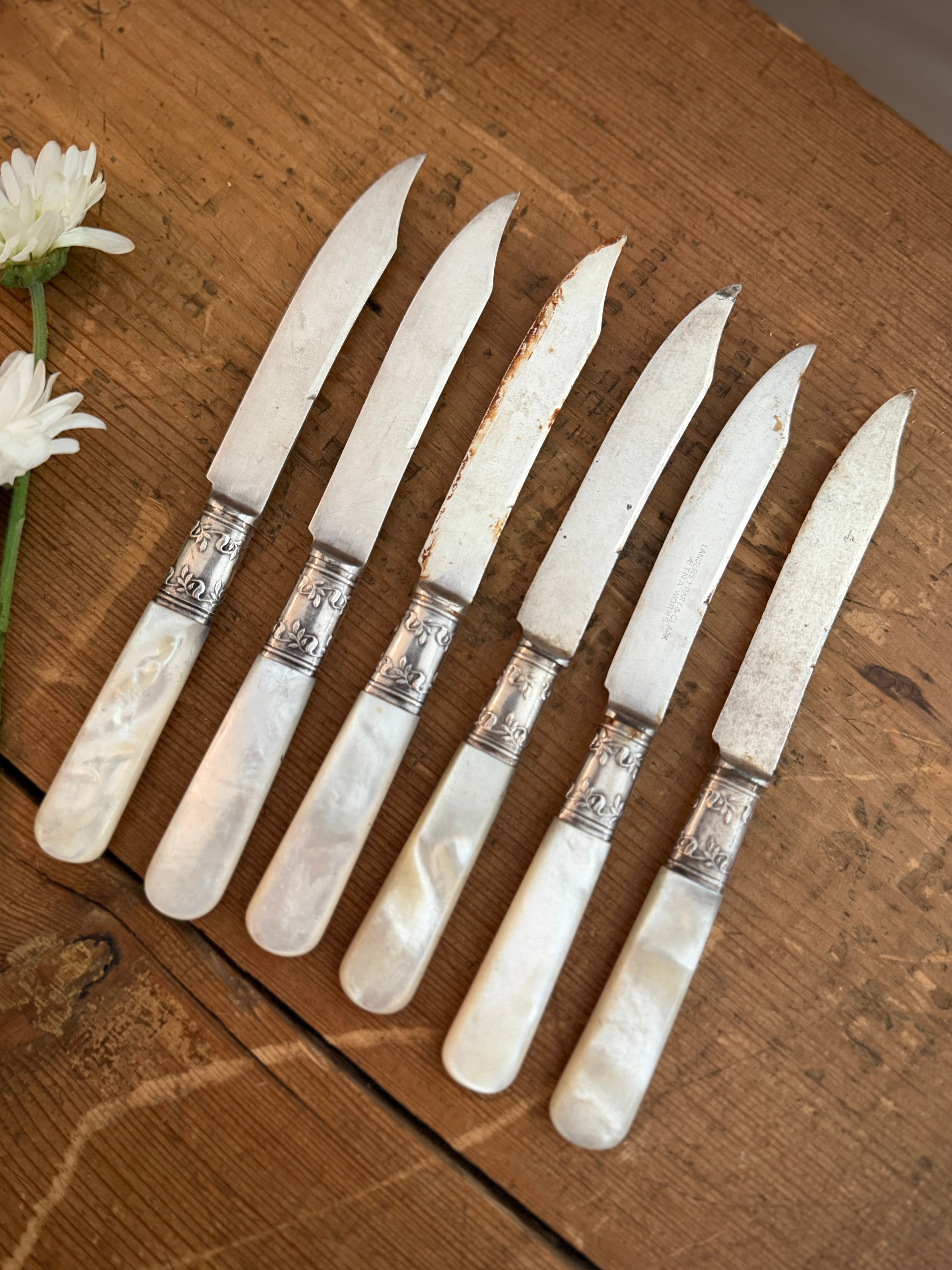 Set of 6 Vintage Mother-of-Pearl and Silver-Plated Fruit Knives
