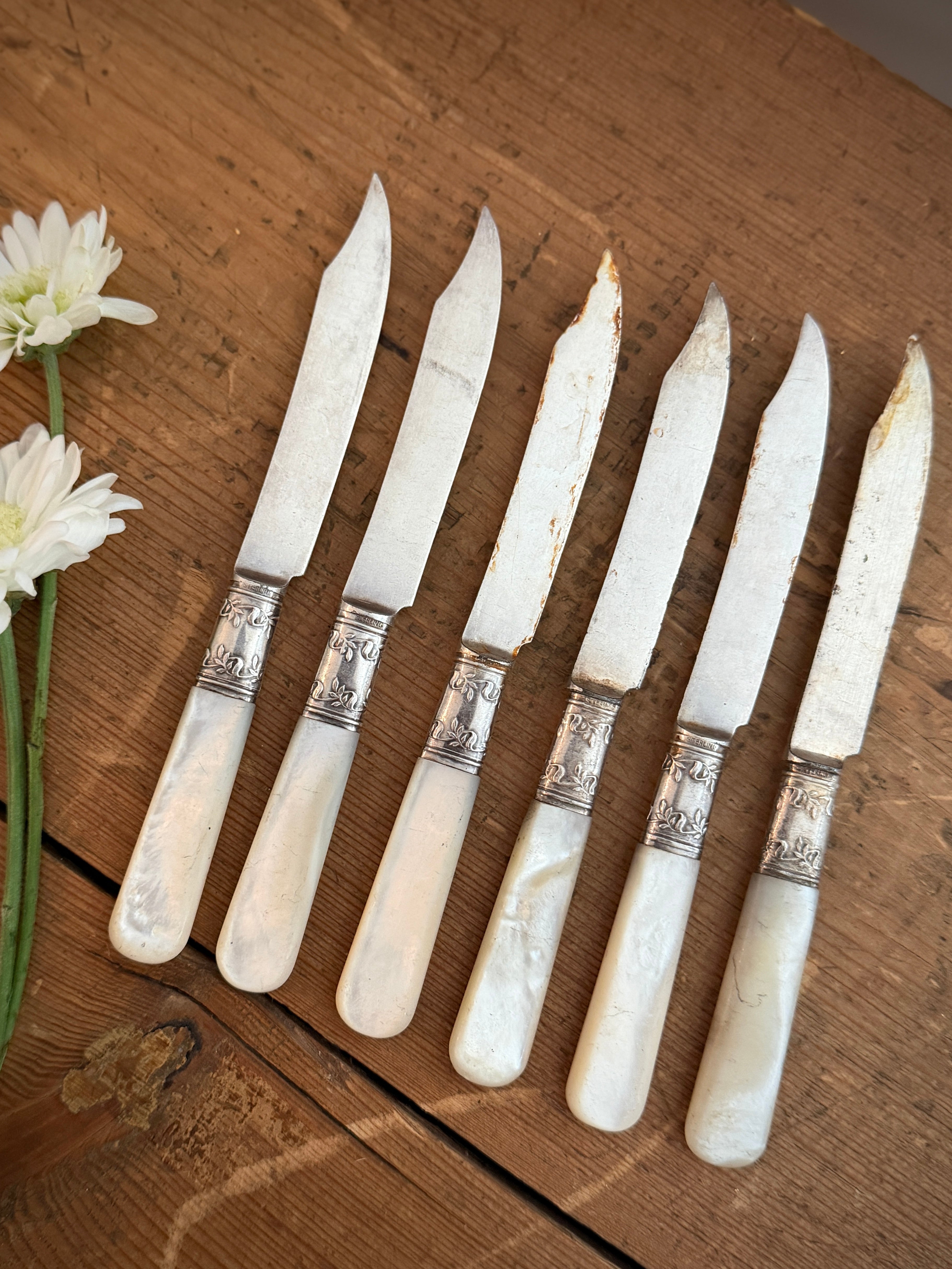 Set of 6 Vintage Mother-of-Pearl and Silver-Plated Fruit Knives