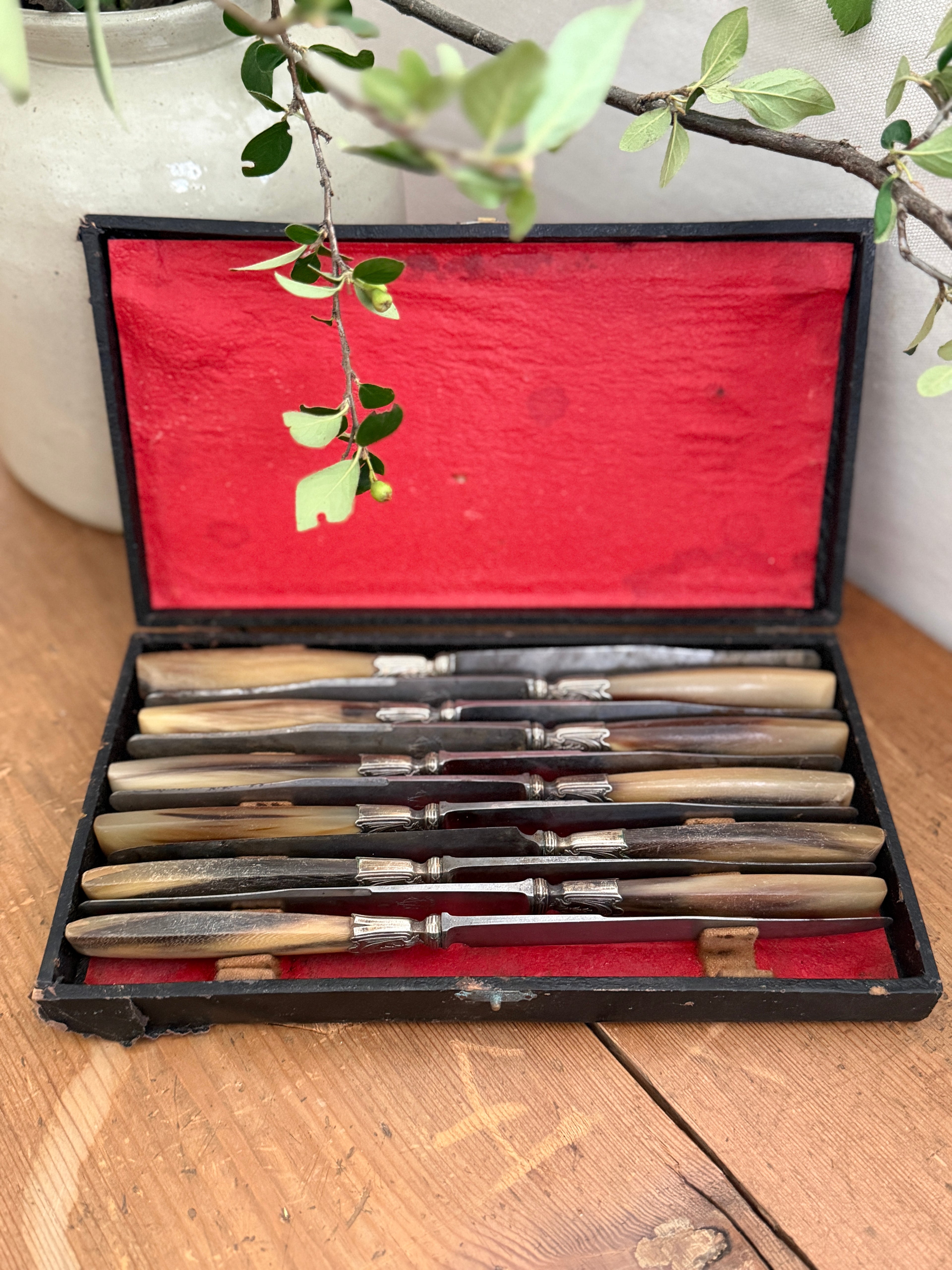 Antique French Horn-Handled Knife Set in Original Box