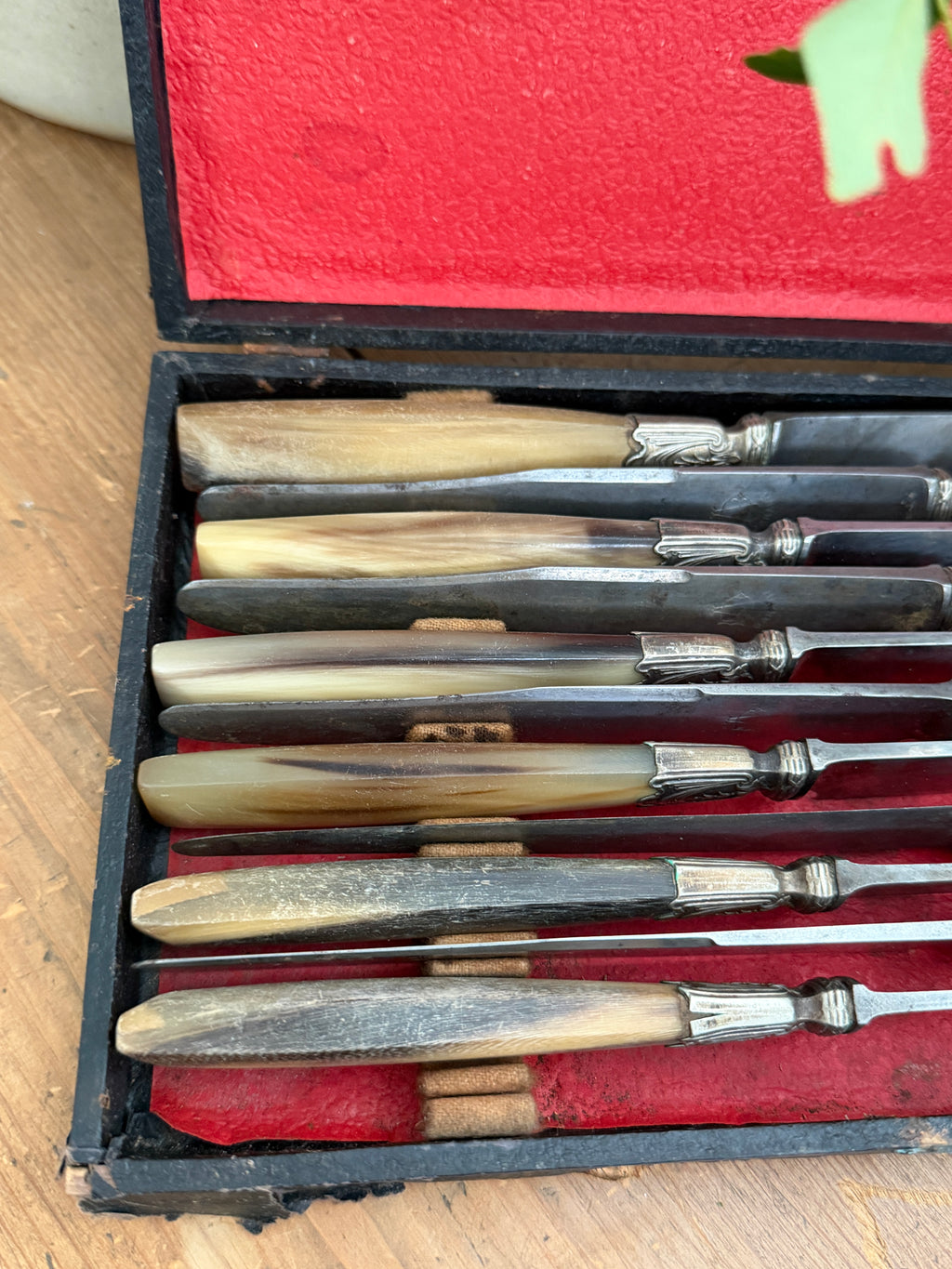 Antique French Horn-Handled Knife Set in Original Box
