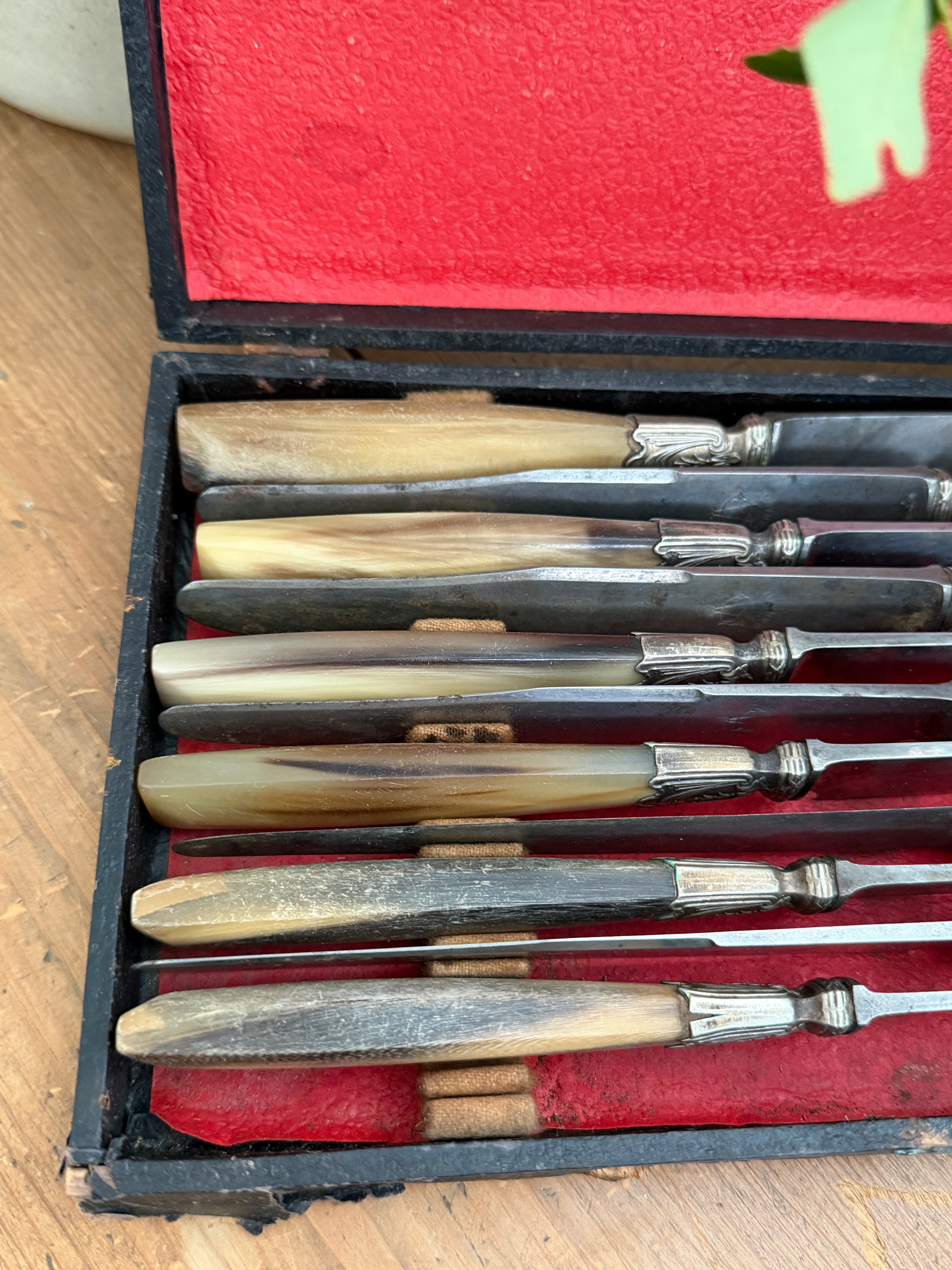 Antique French Horn-Handled Knife Set in Original Box