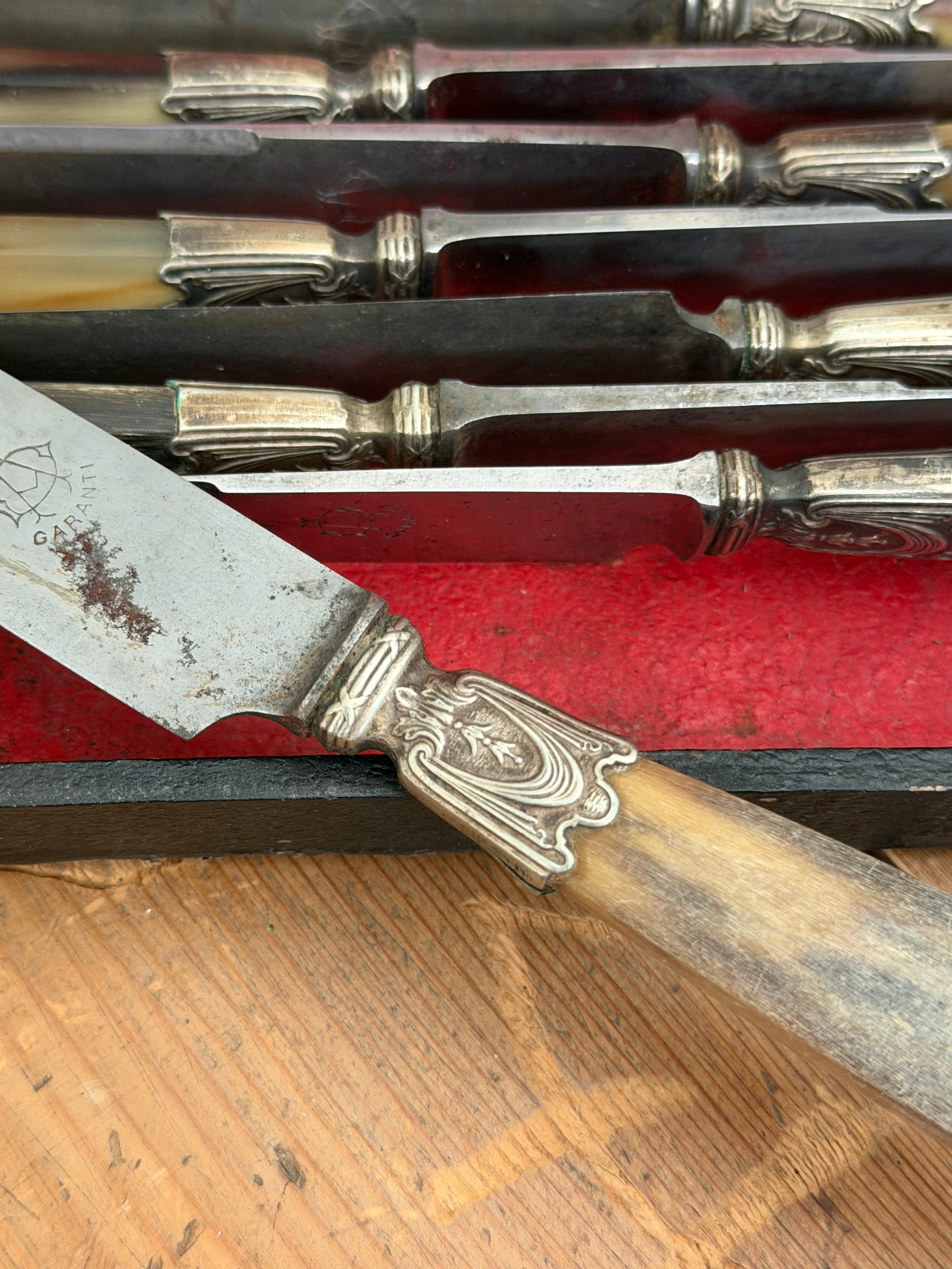 Antique French Horn-Handled Knife Set in Original Box