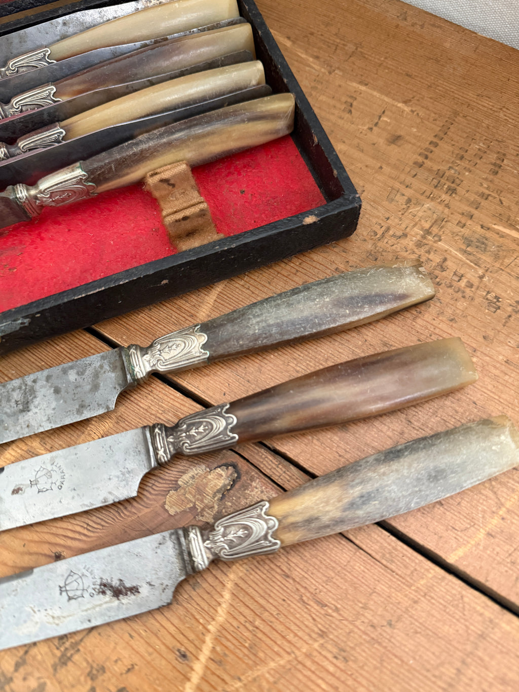 Antique French Horn-Handled Knife Set in Original Box