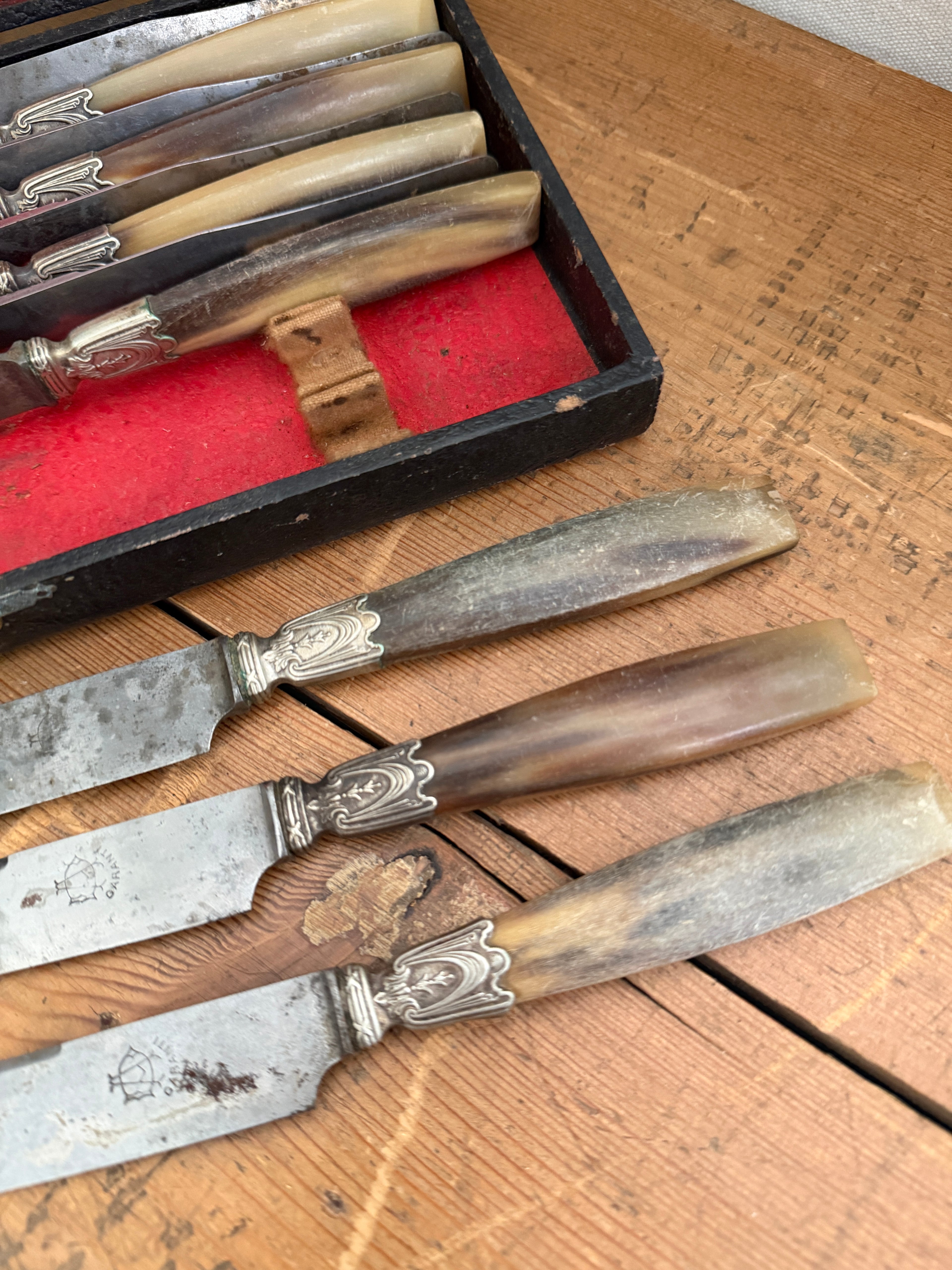 Antique French Horn-Handled Knife Set in Original Box
