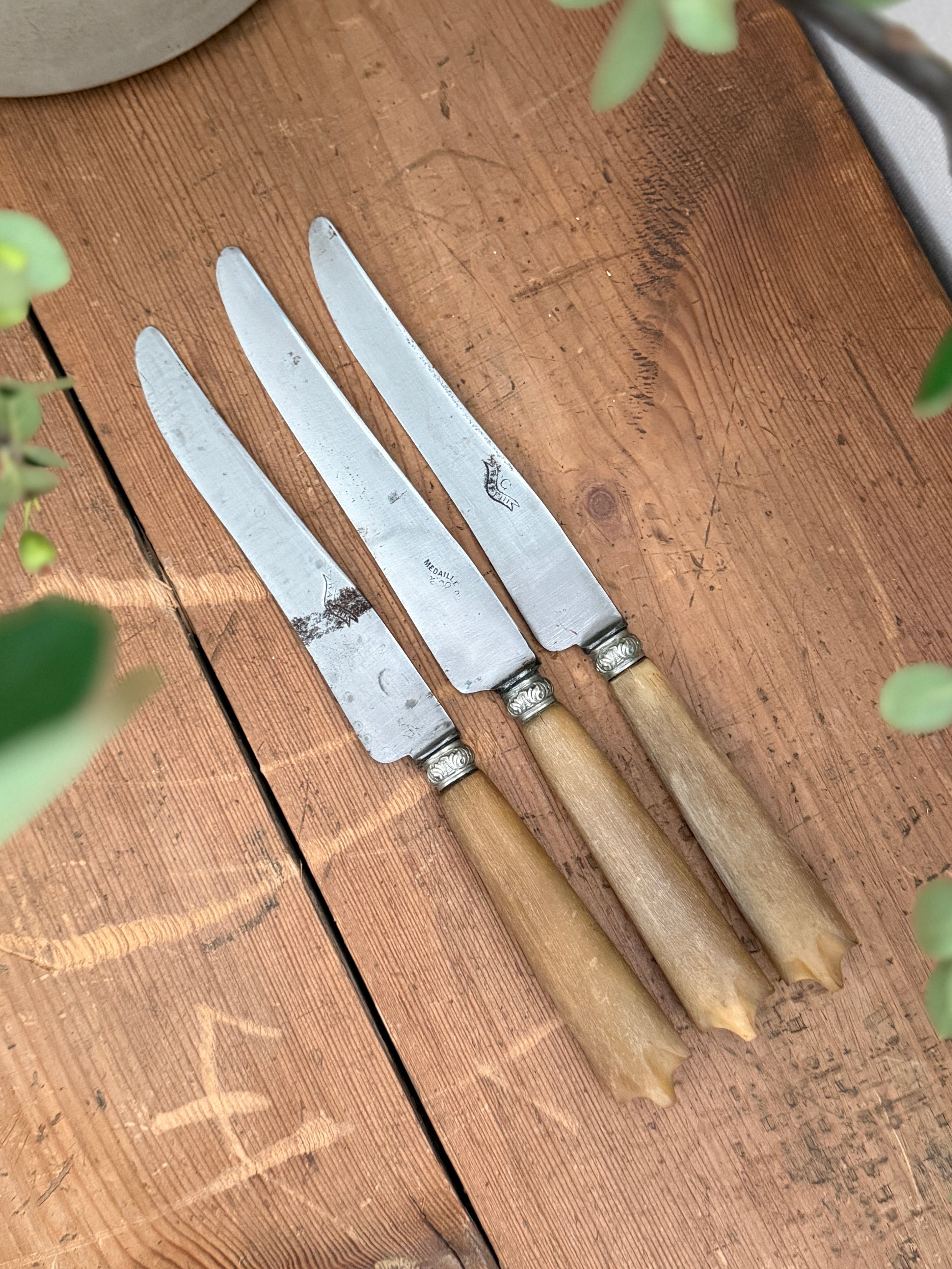Antique French Bone-Handled Table Knife Trio