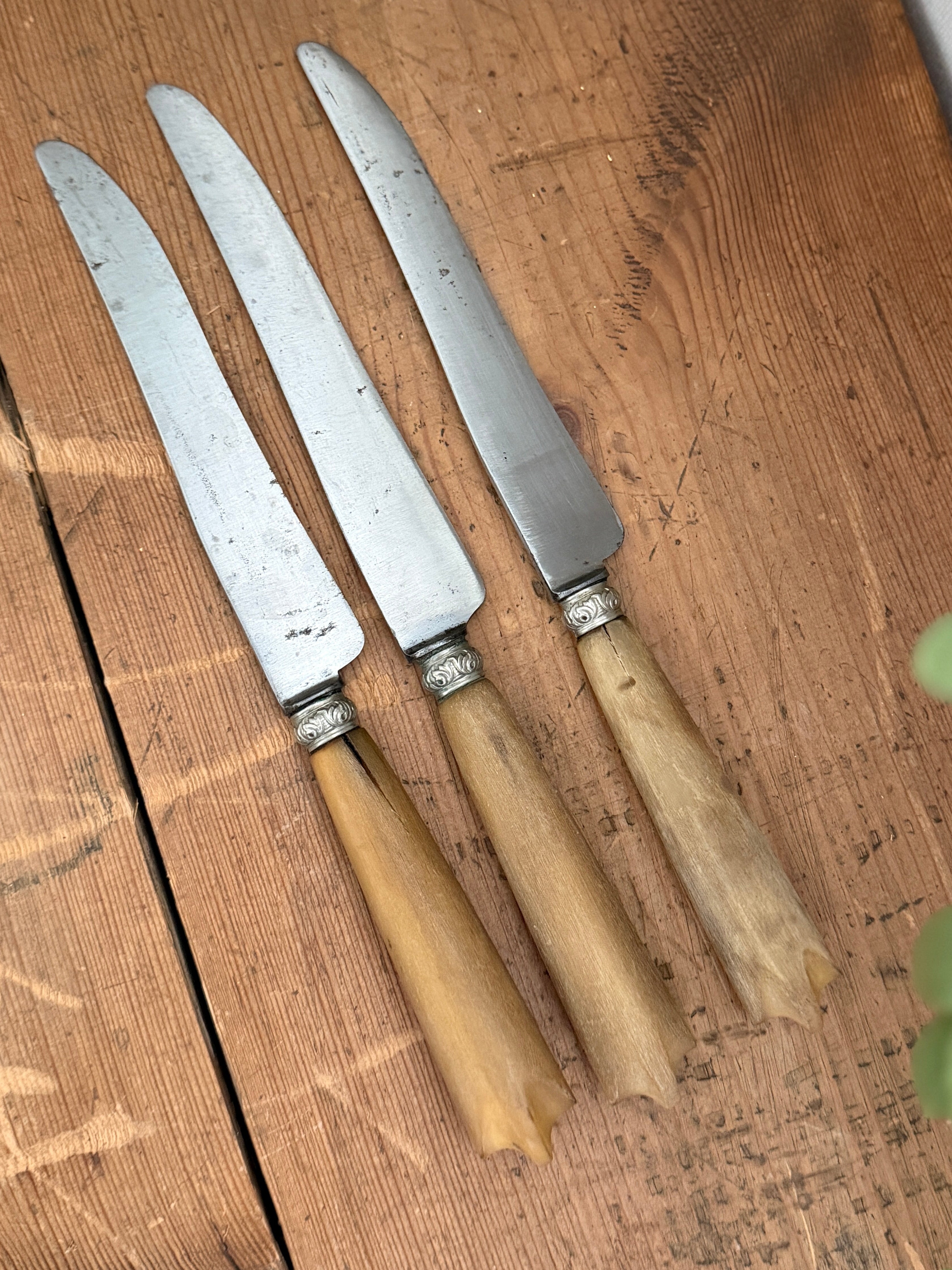 Antique French Bone-Handled Table Knife Trio