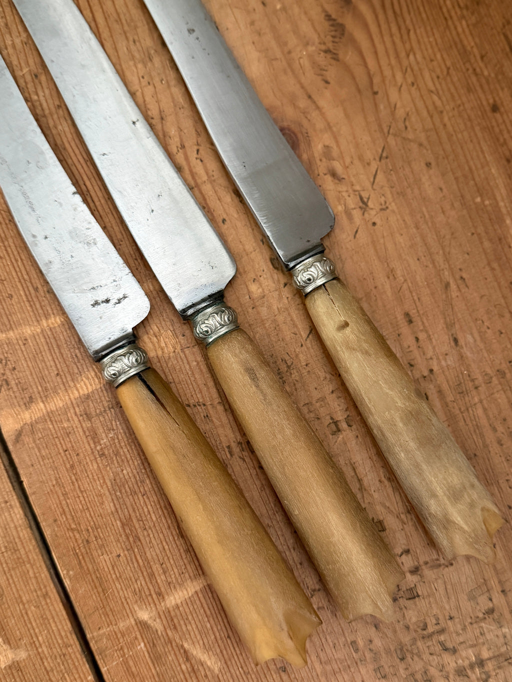 Antique French Bone-Handled Table Knife Trio