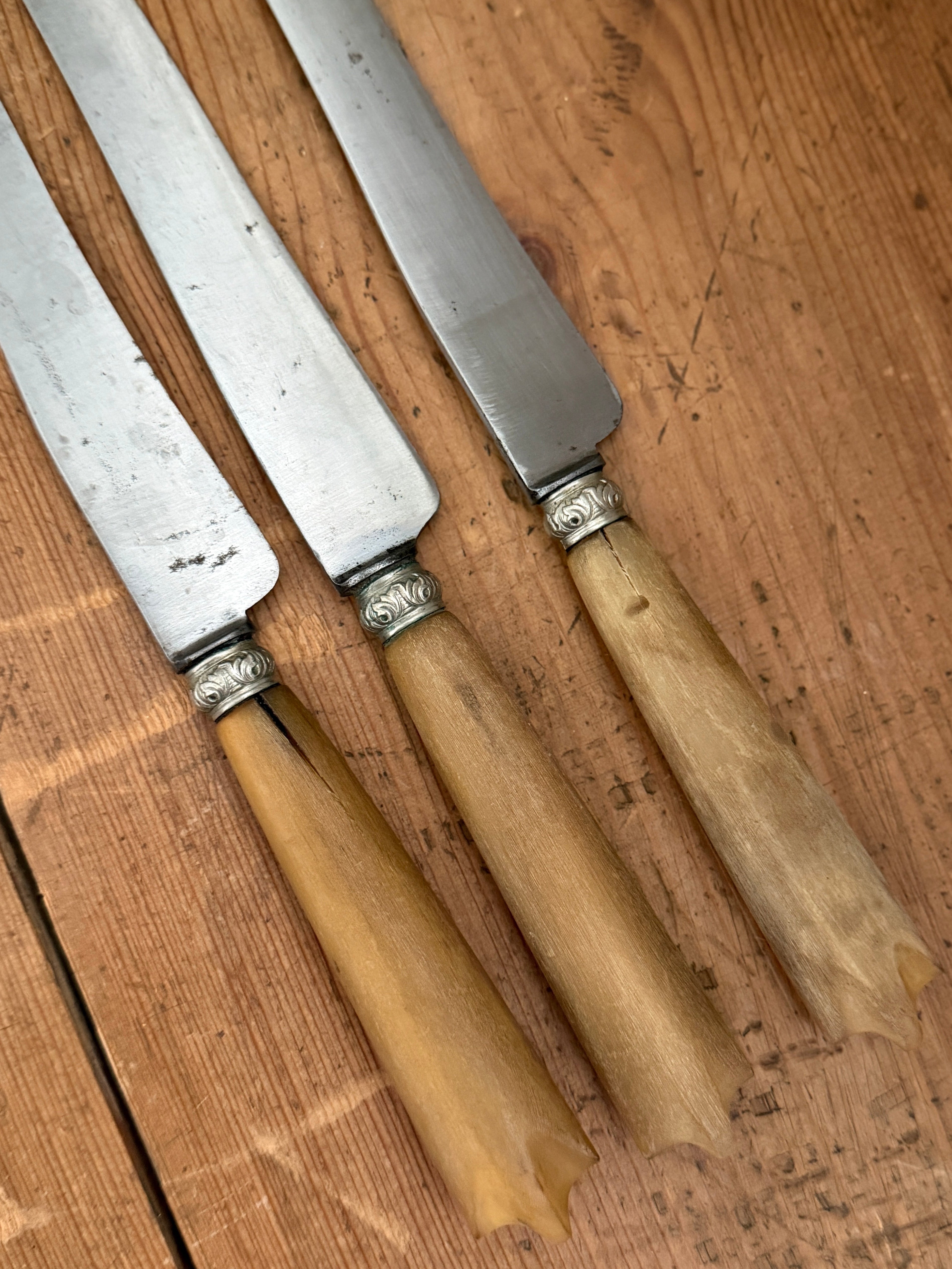 Antique French Bone-Handled Table Knife Trio