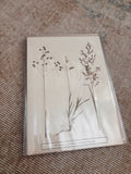 Vintage Pressed Swedish Herbarium E.3. Gräs I. a. darrgräs b. vitgröe c. krypven