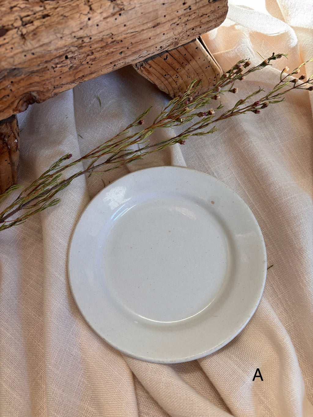 Antique English Ironstone Plates
