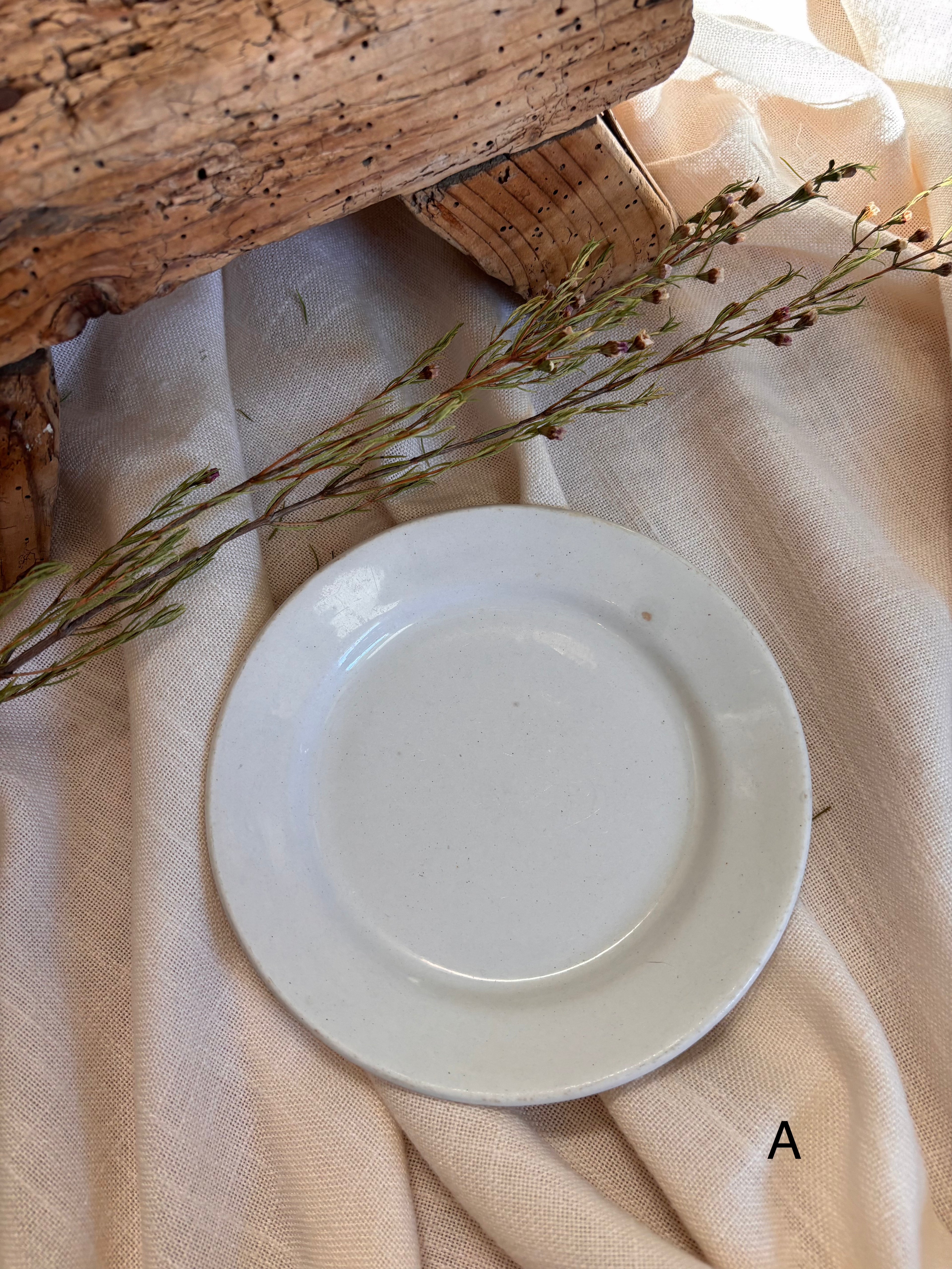 Antique English Ironstone Plates