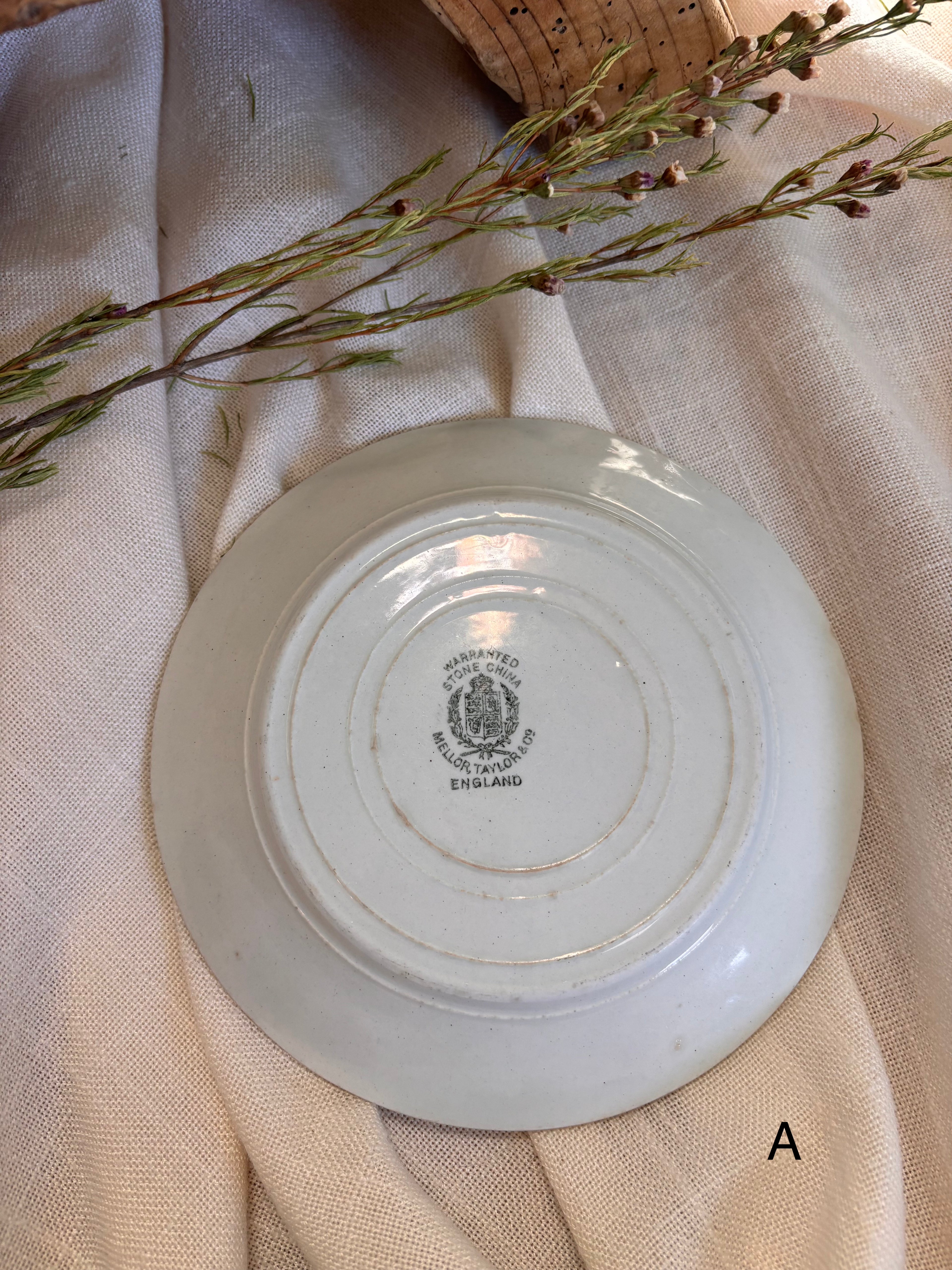 Antique English Ironstone Plates
