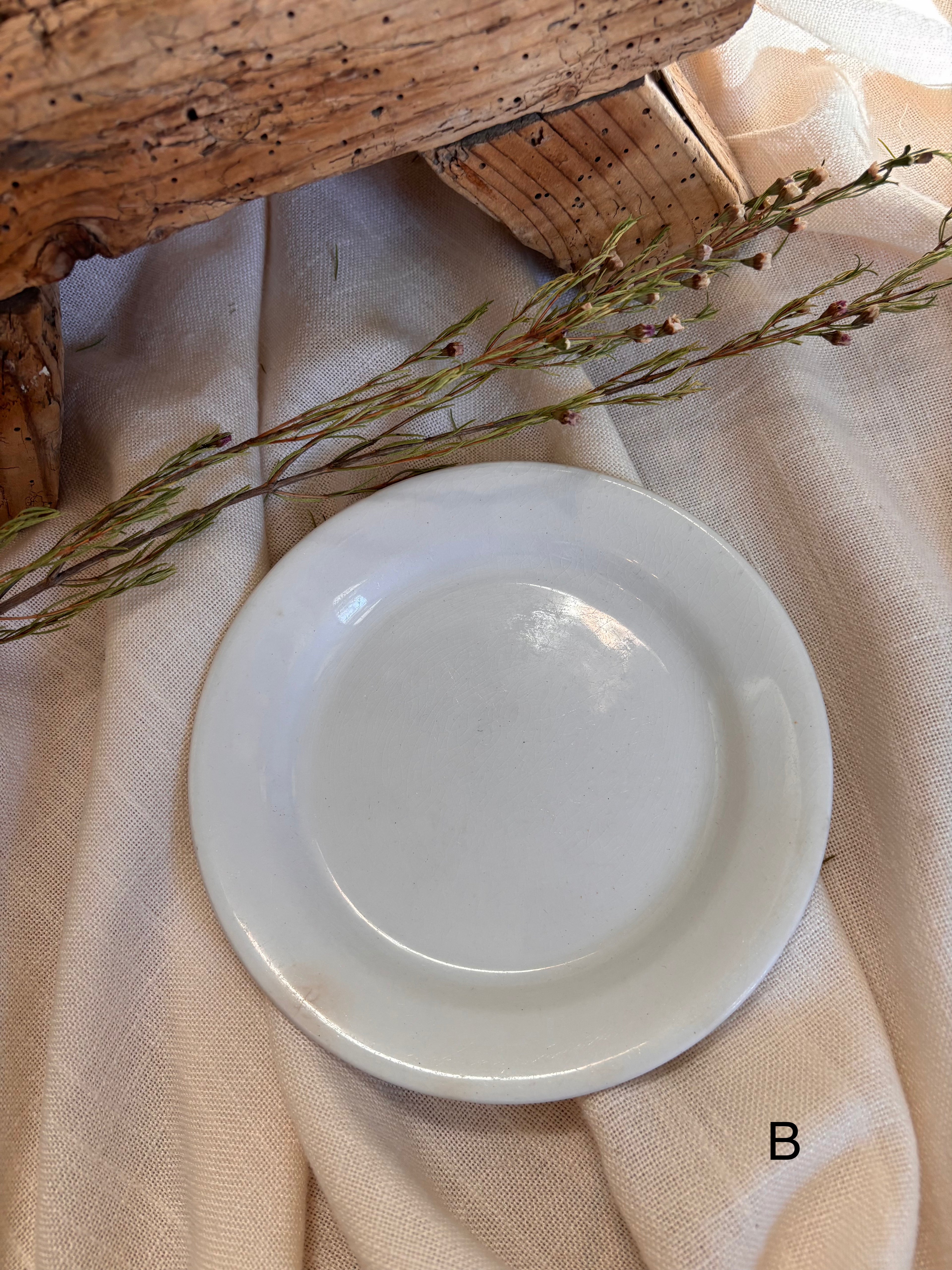 Antique English Ironstone Plates