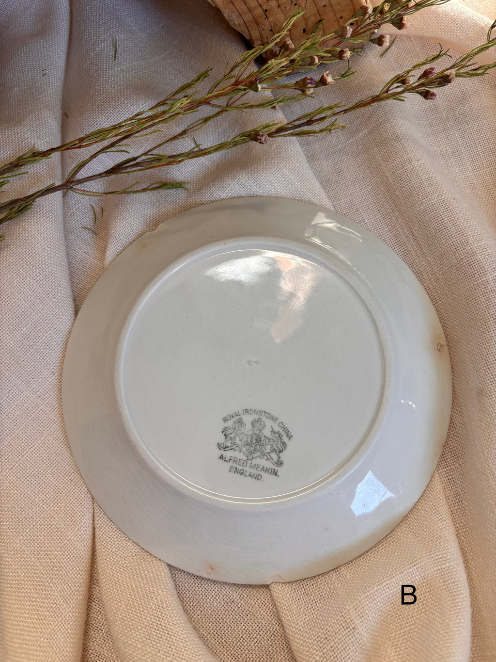 Antique English Ironstone Plates