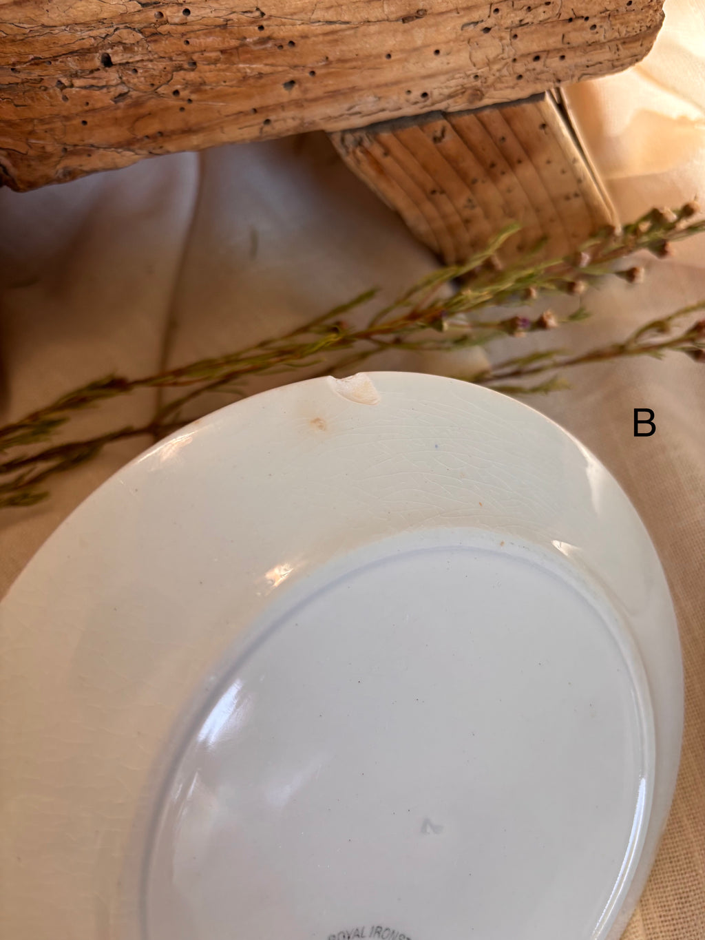 Antique English Ironstone Plates