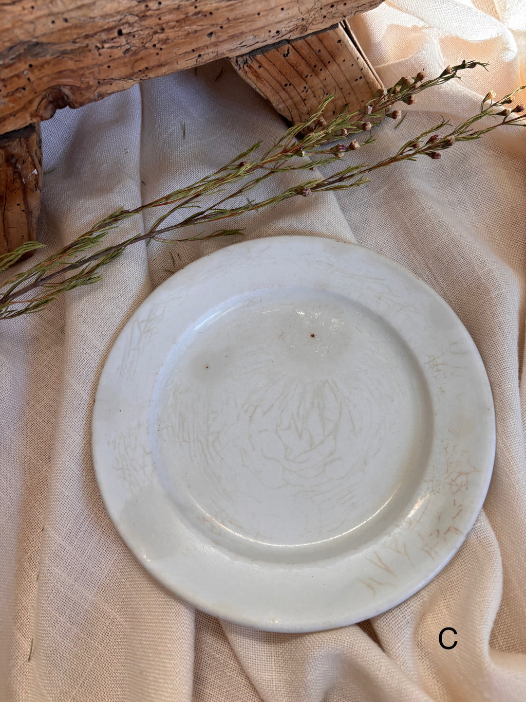 Antique English Ironstone Plates
