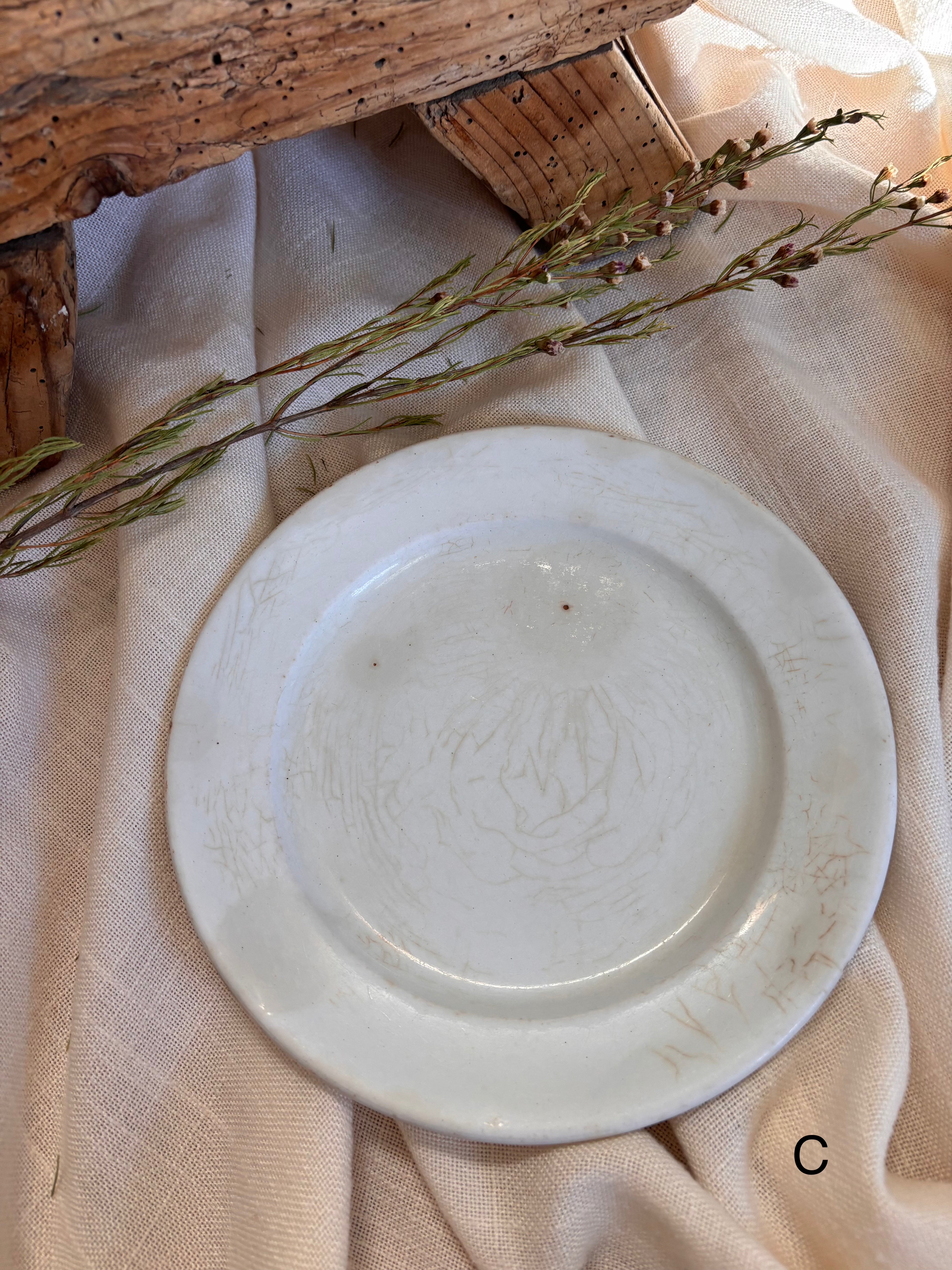 Antique English Ironstone Plates