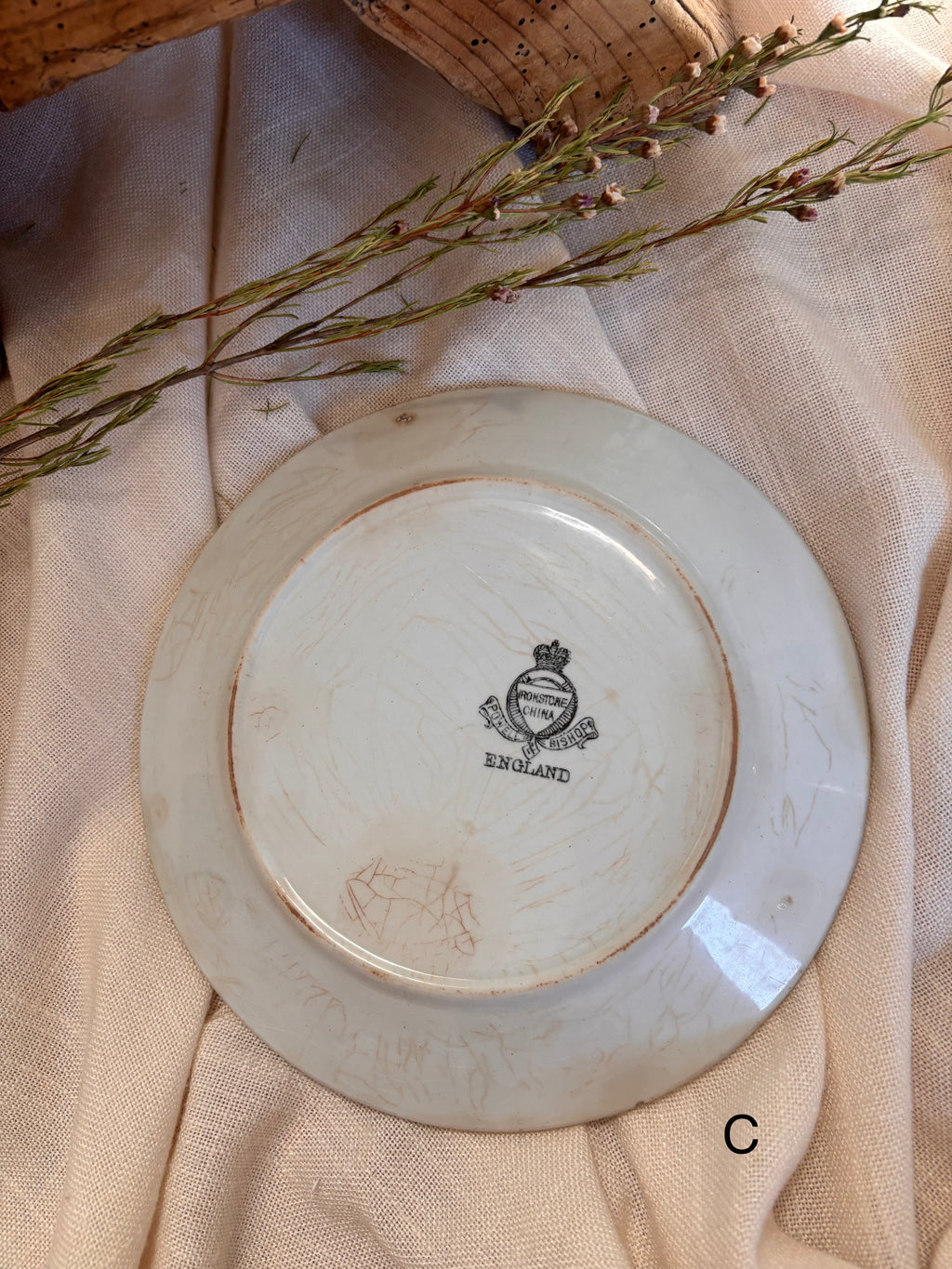 Antique English Ironstone Plates