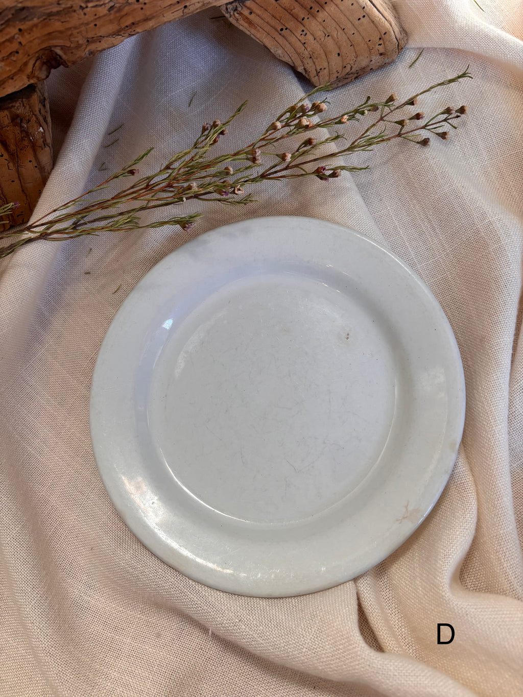 Antique English Ironstone Plates
