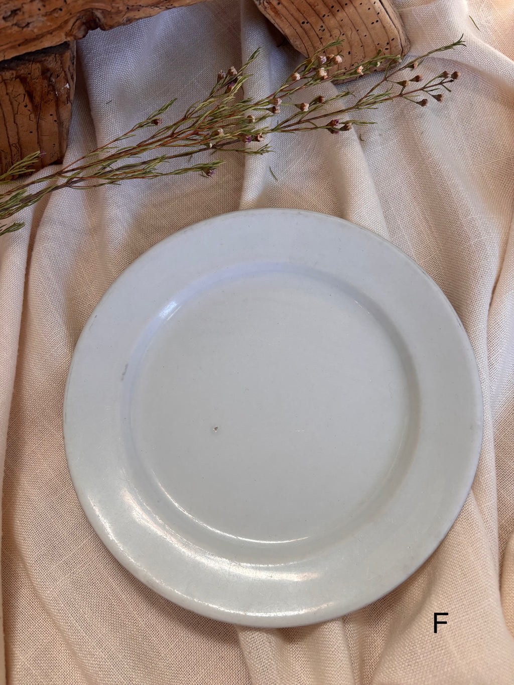 Antique English Ironstone Plates