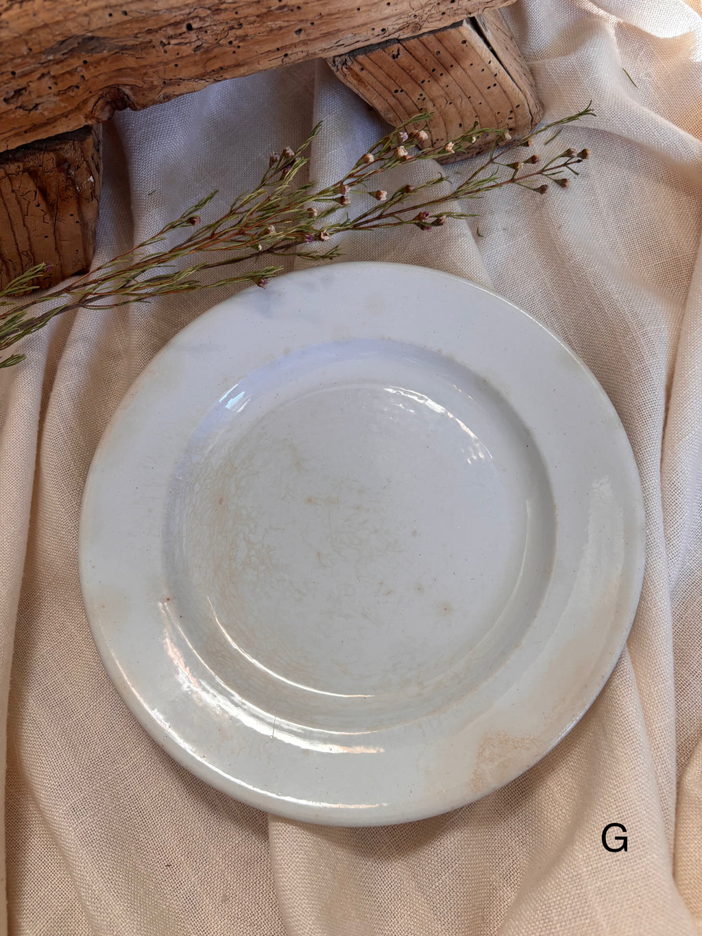Antique English Ironstone Plates