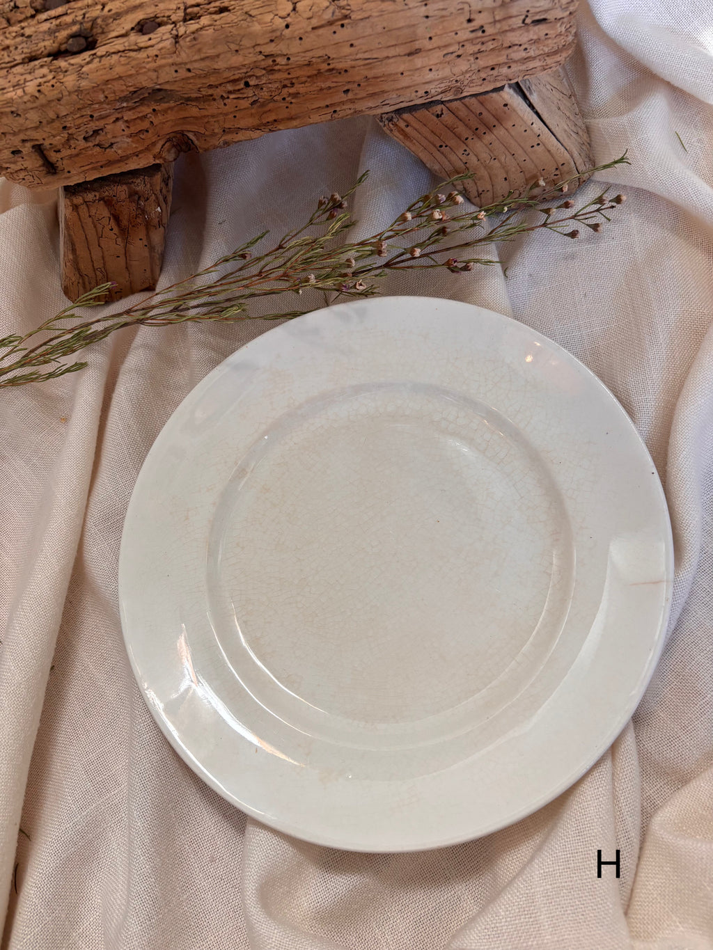 Antique English Ironstone Plates