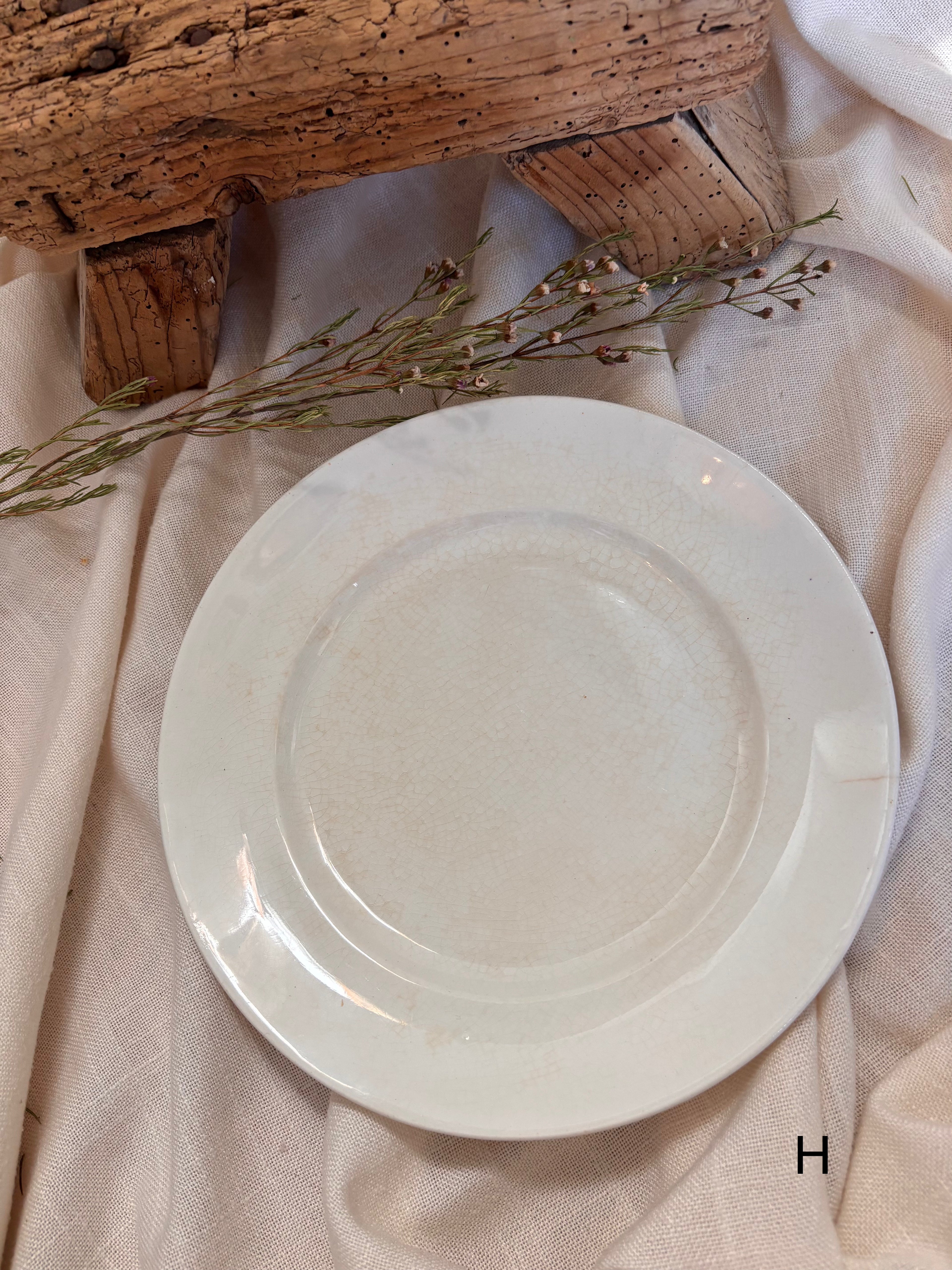 Antique English Ironstone Plates