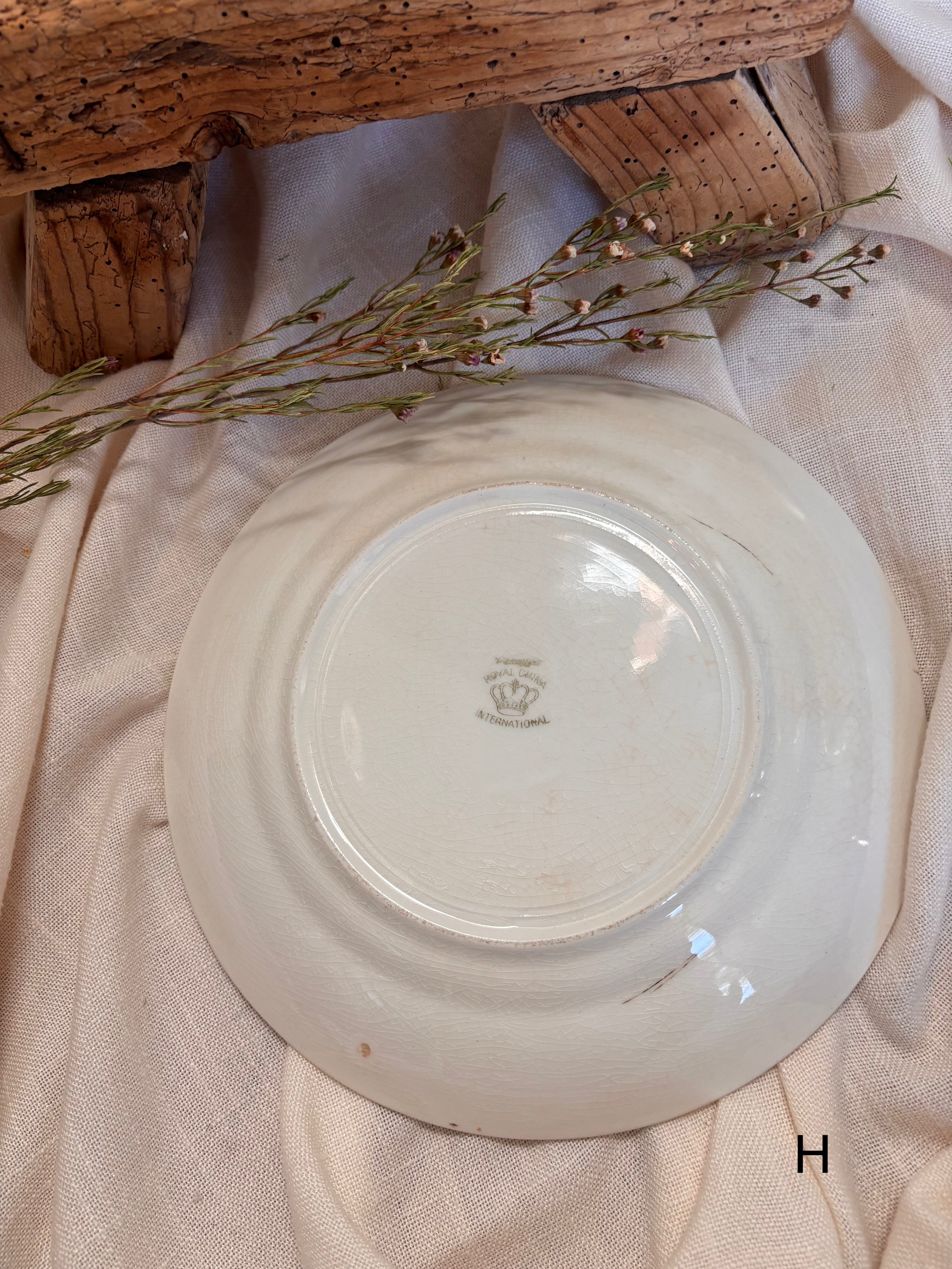 Antique English Ironstone Plates