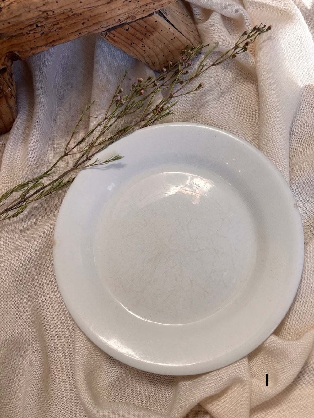 Antique English Ironstone Plates