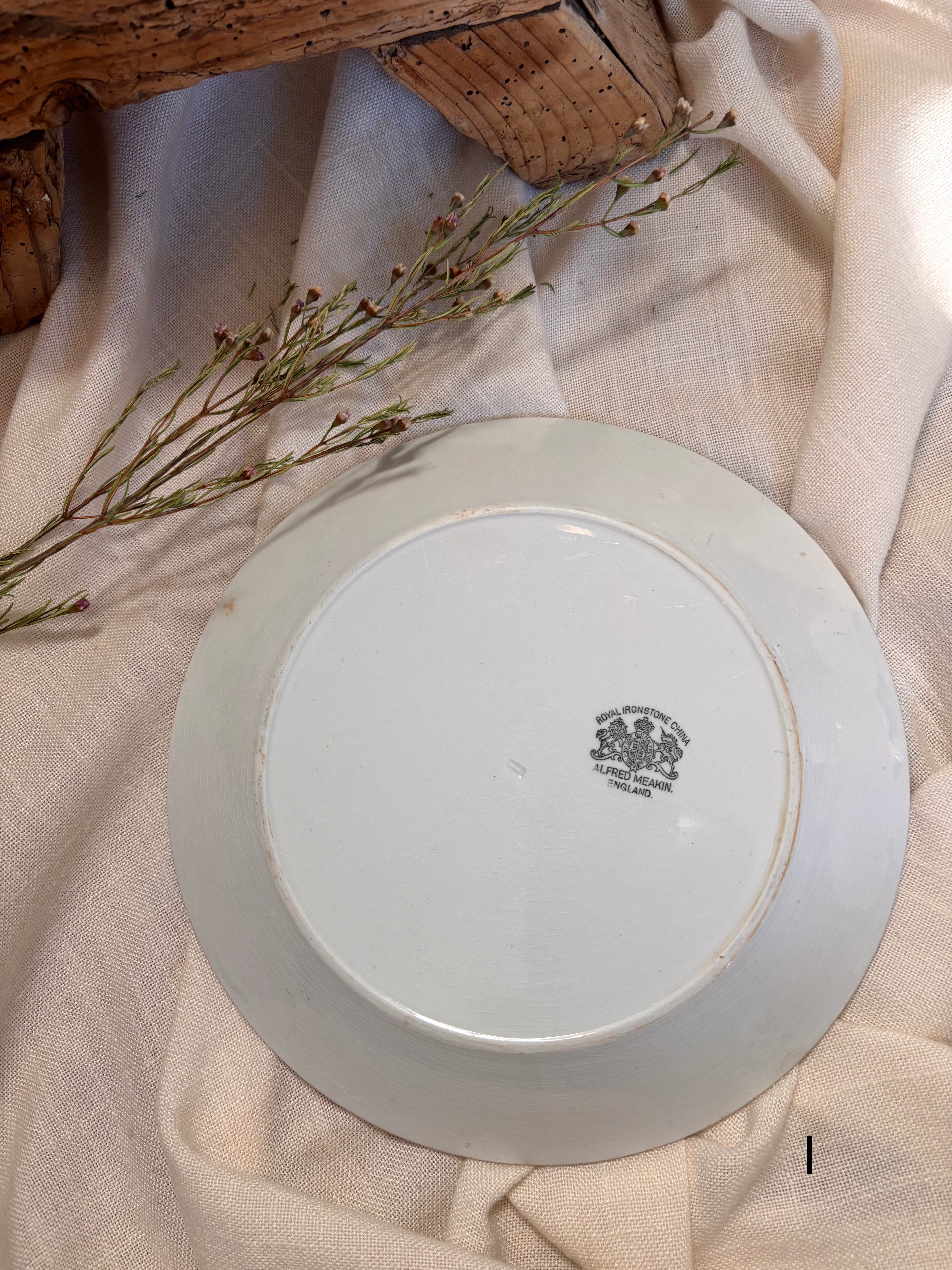 Antique English Ironstone Plates