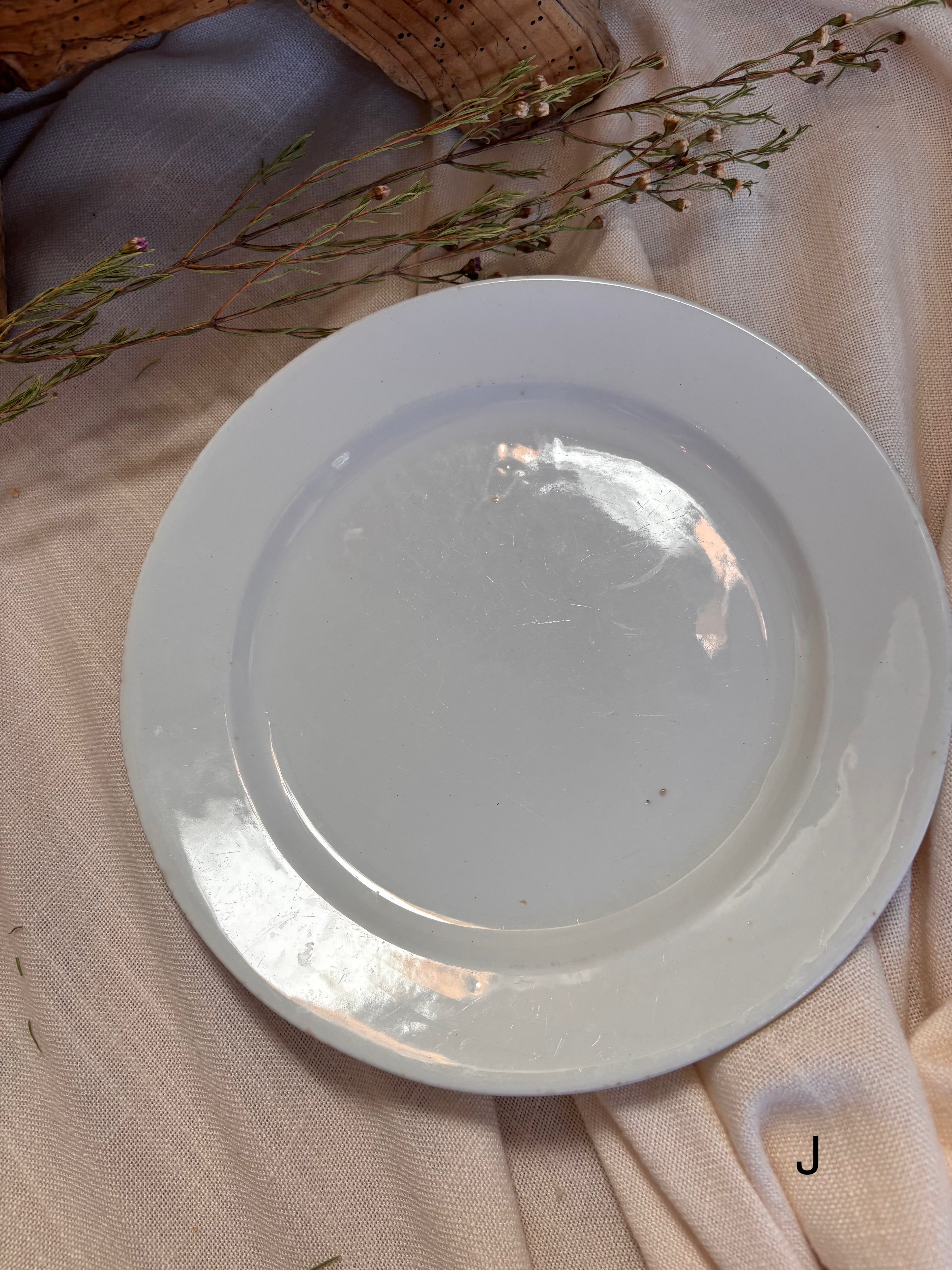 Antique English Ironstone Plates