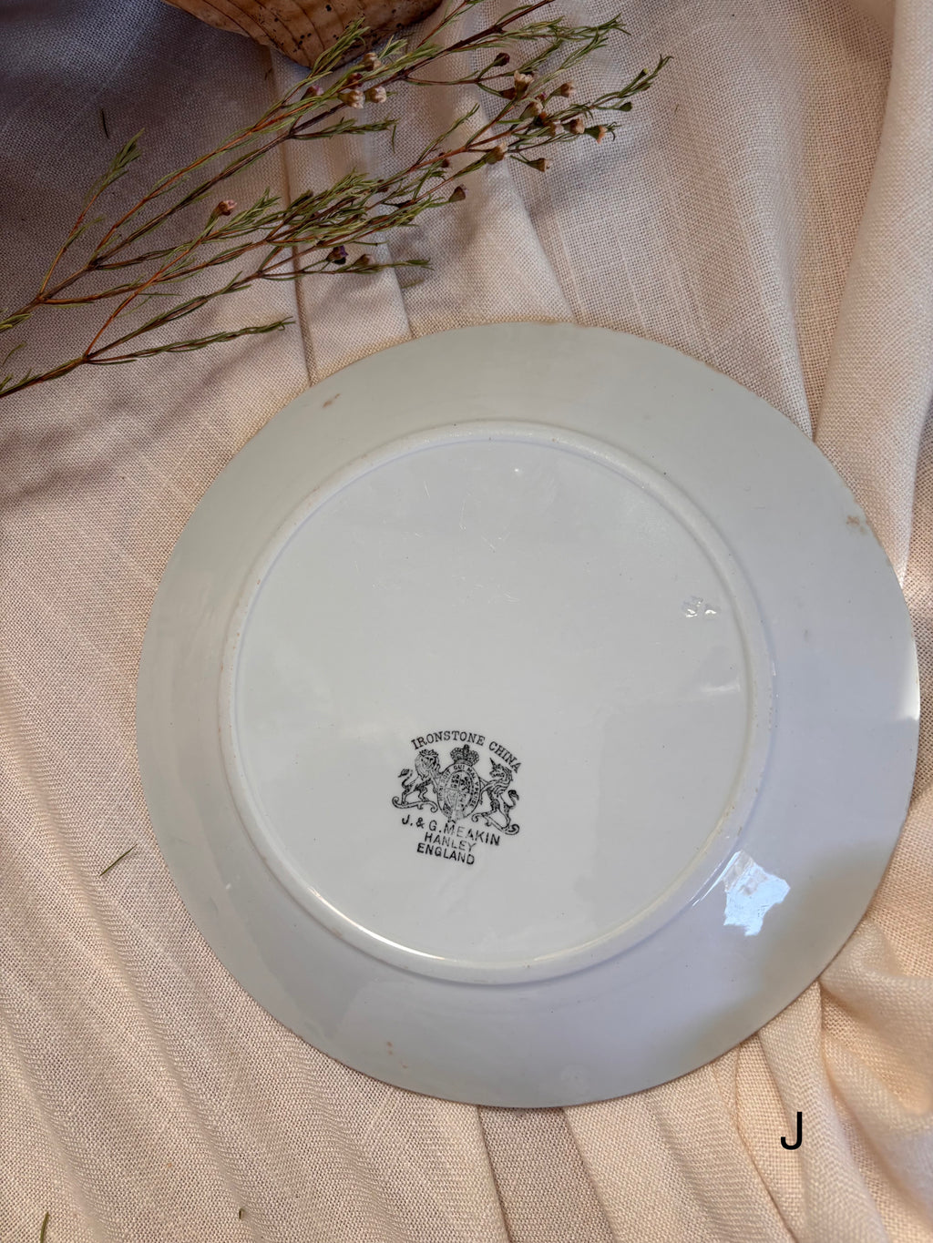 Antique English Ironstone Plates