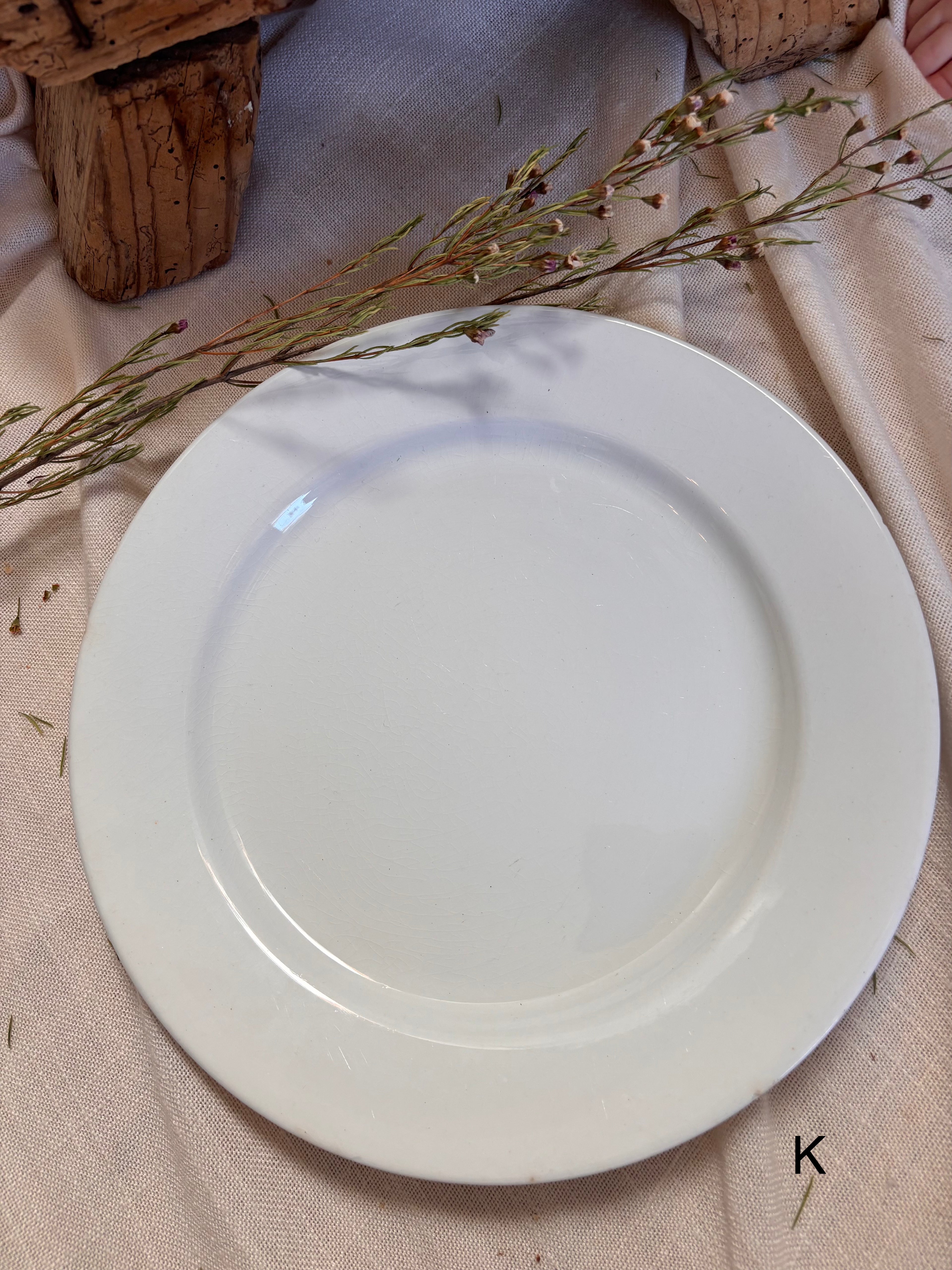 Antique English Ironstone Plates