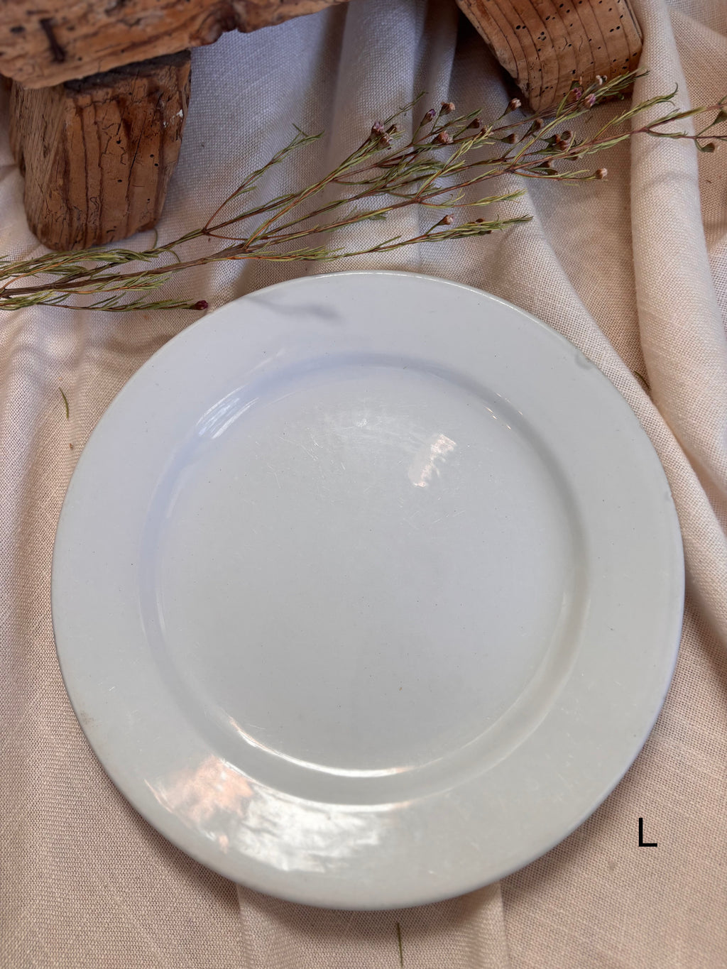 Antique English Ironstone Plates