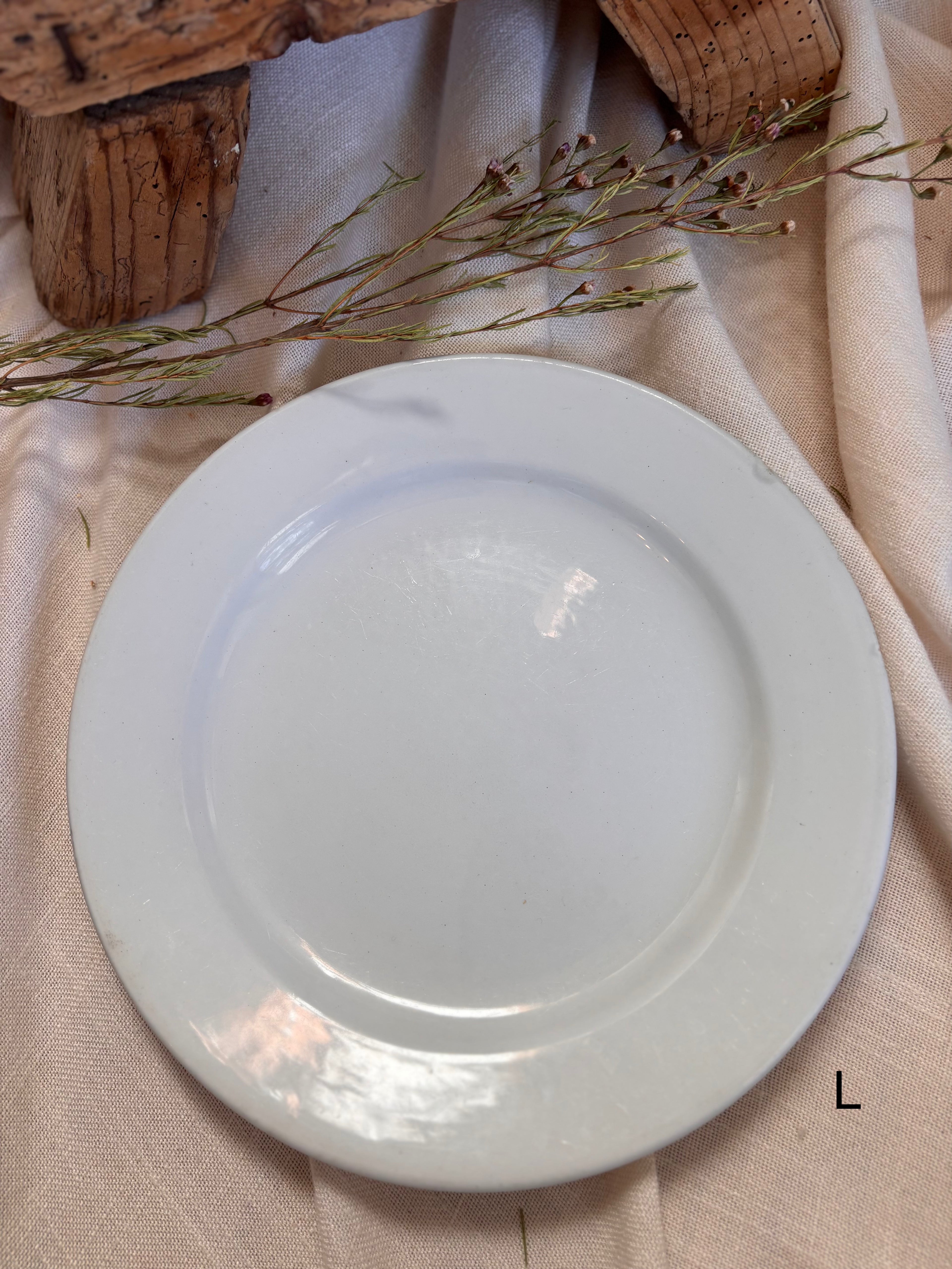 Antique English Ironstone Plates