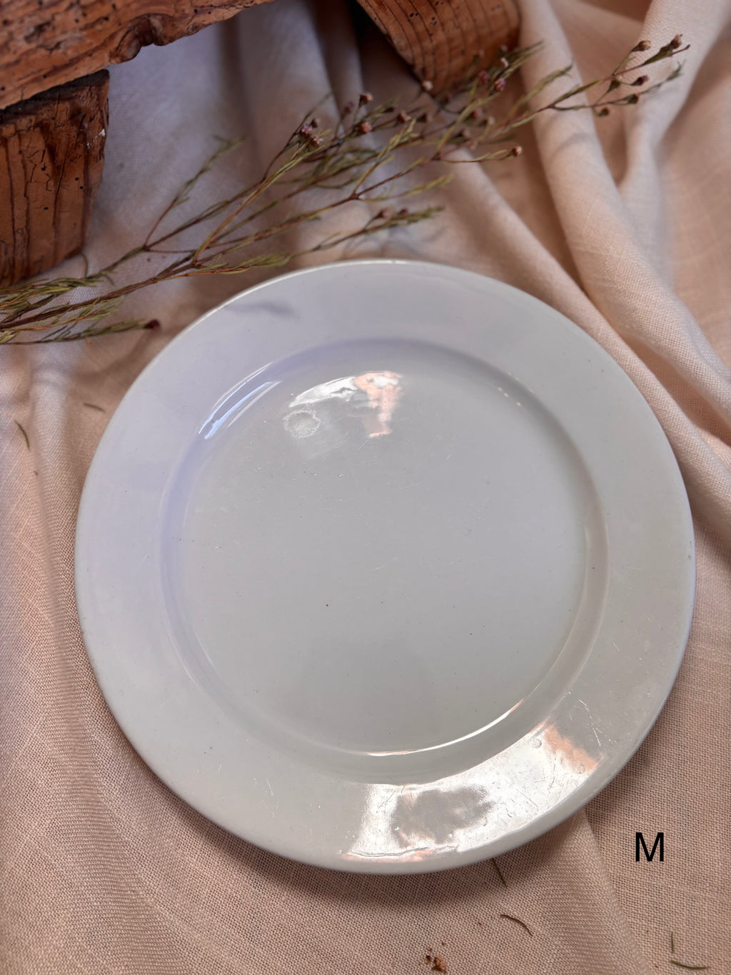 Antique English Ironstone Plates