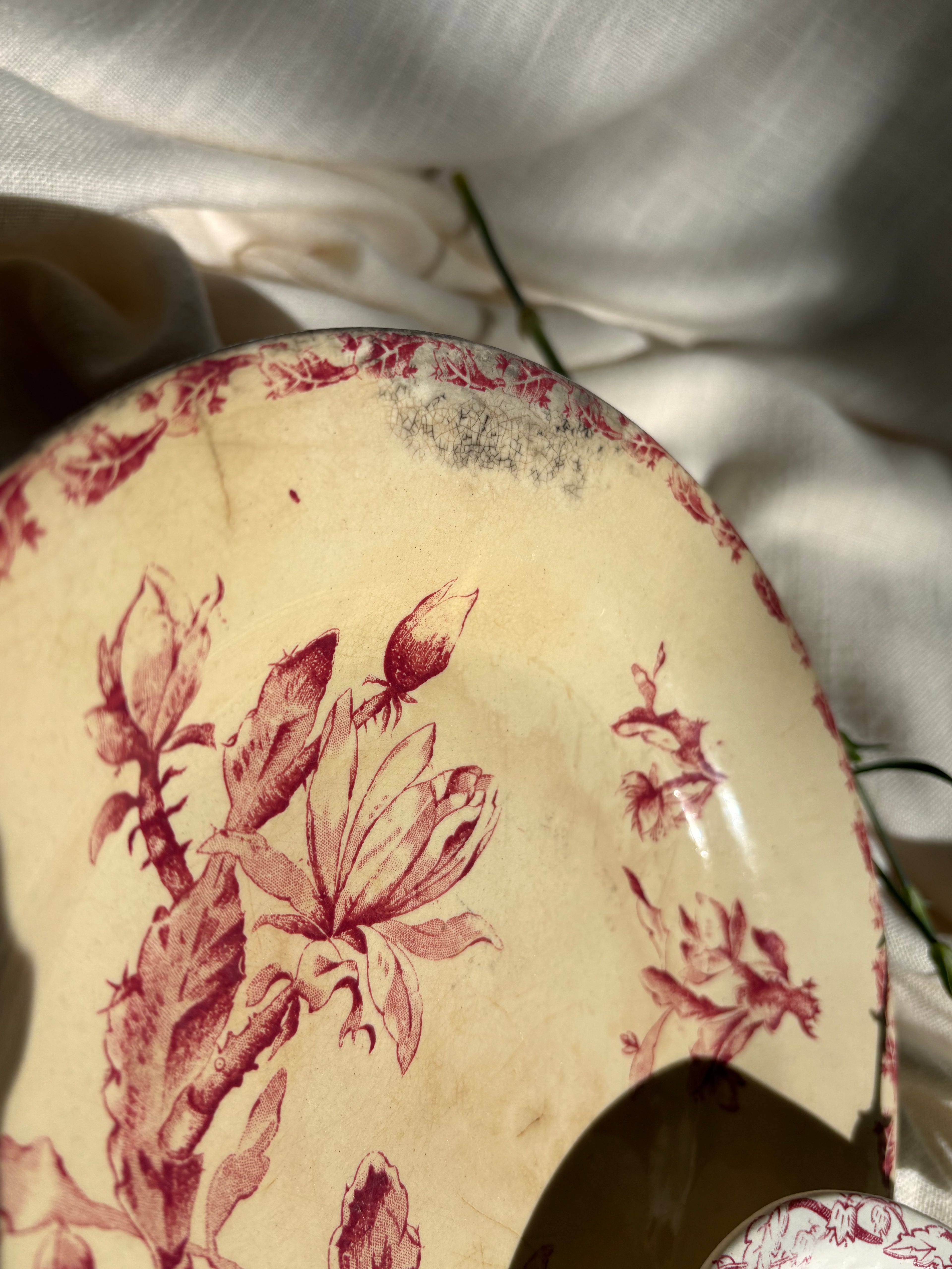 Antique French Red "Cactus" Transferware Plate, Gien