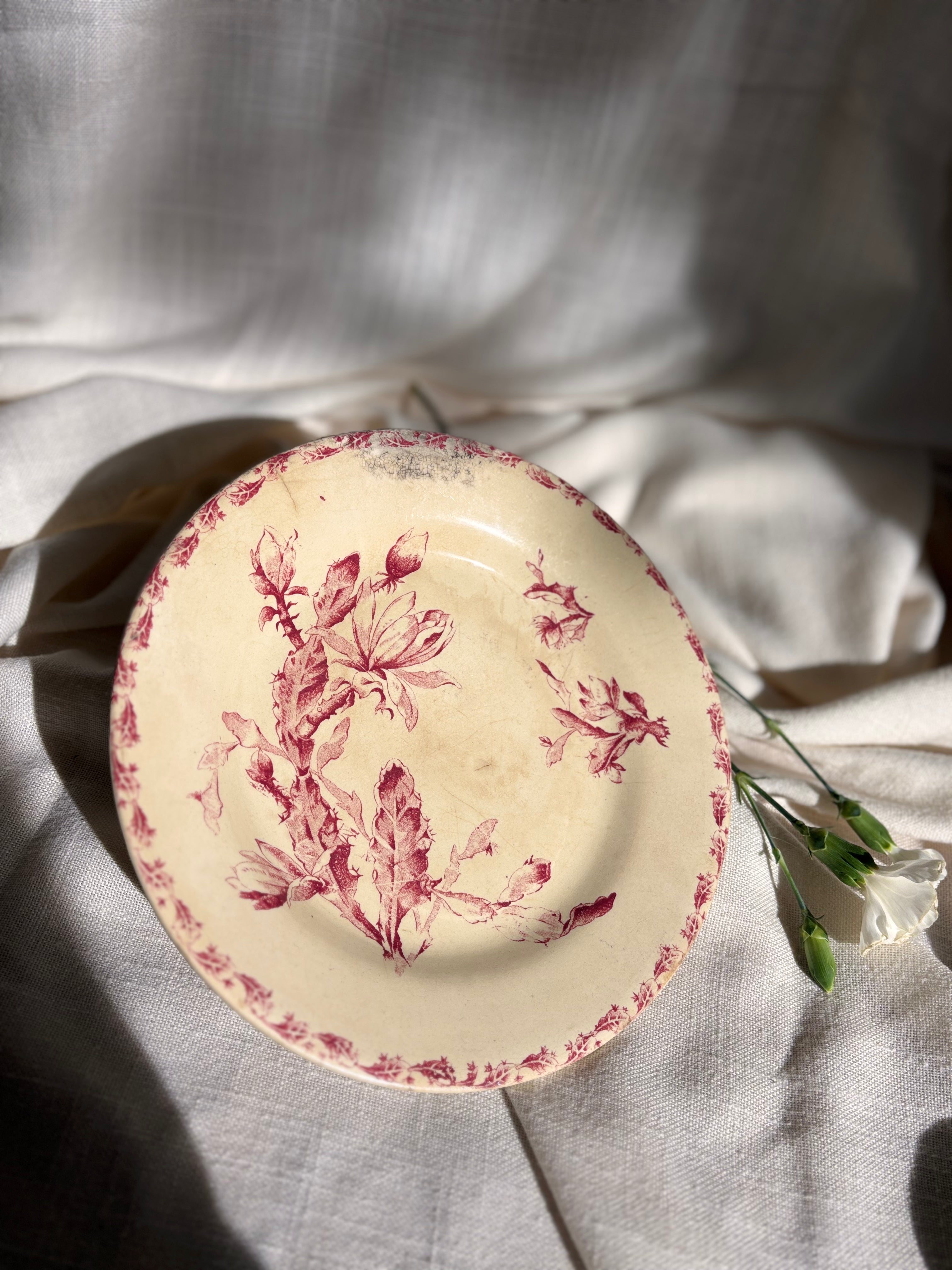 Antique French Red "Cactus" Transferware Plate, Gien