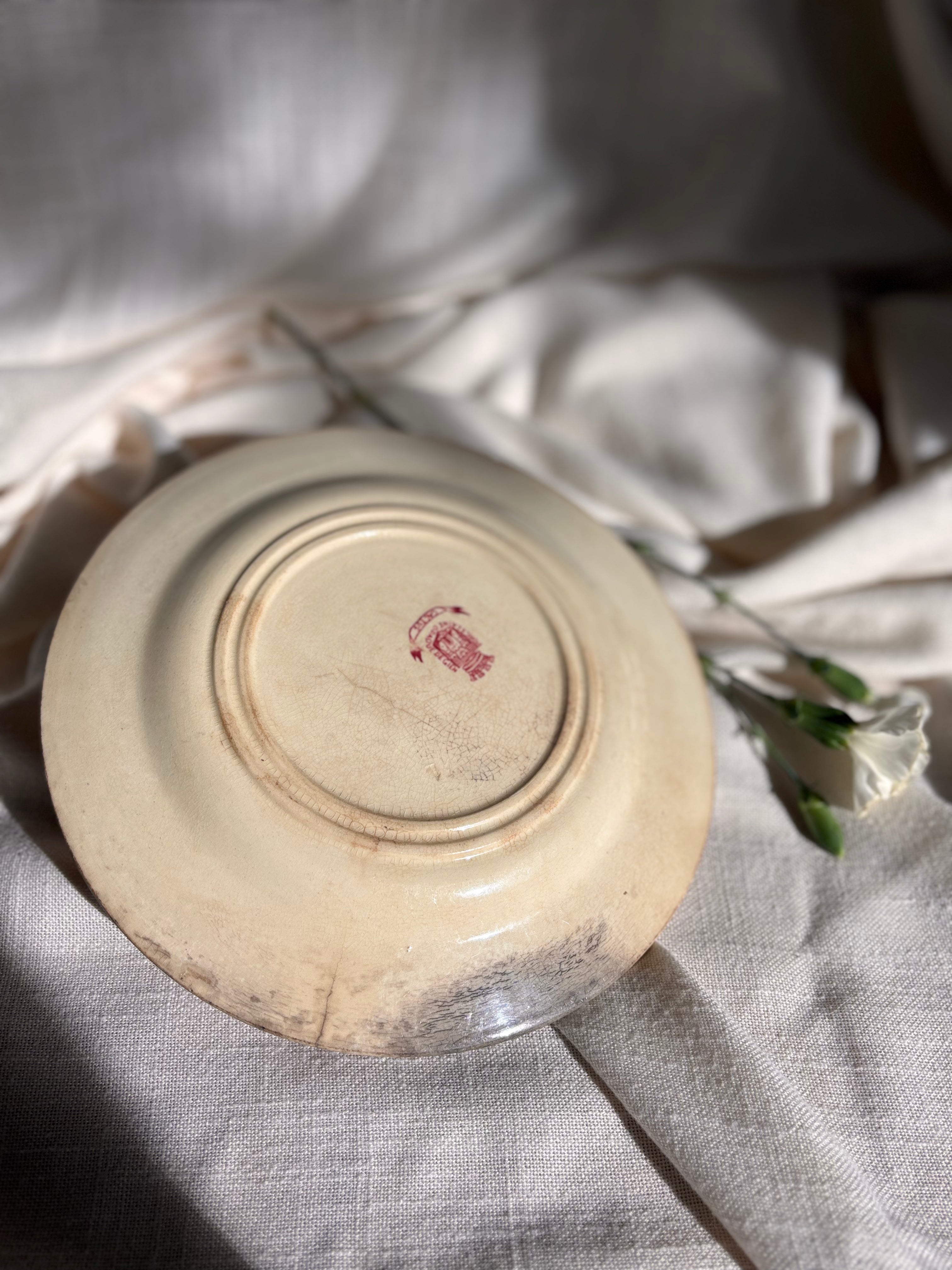 Antique French Red "Cactus" Transferware Plate, Gien