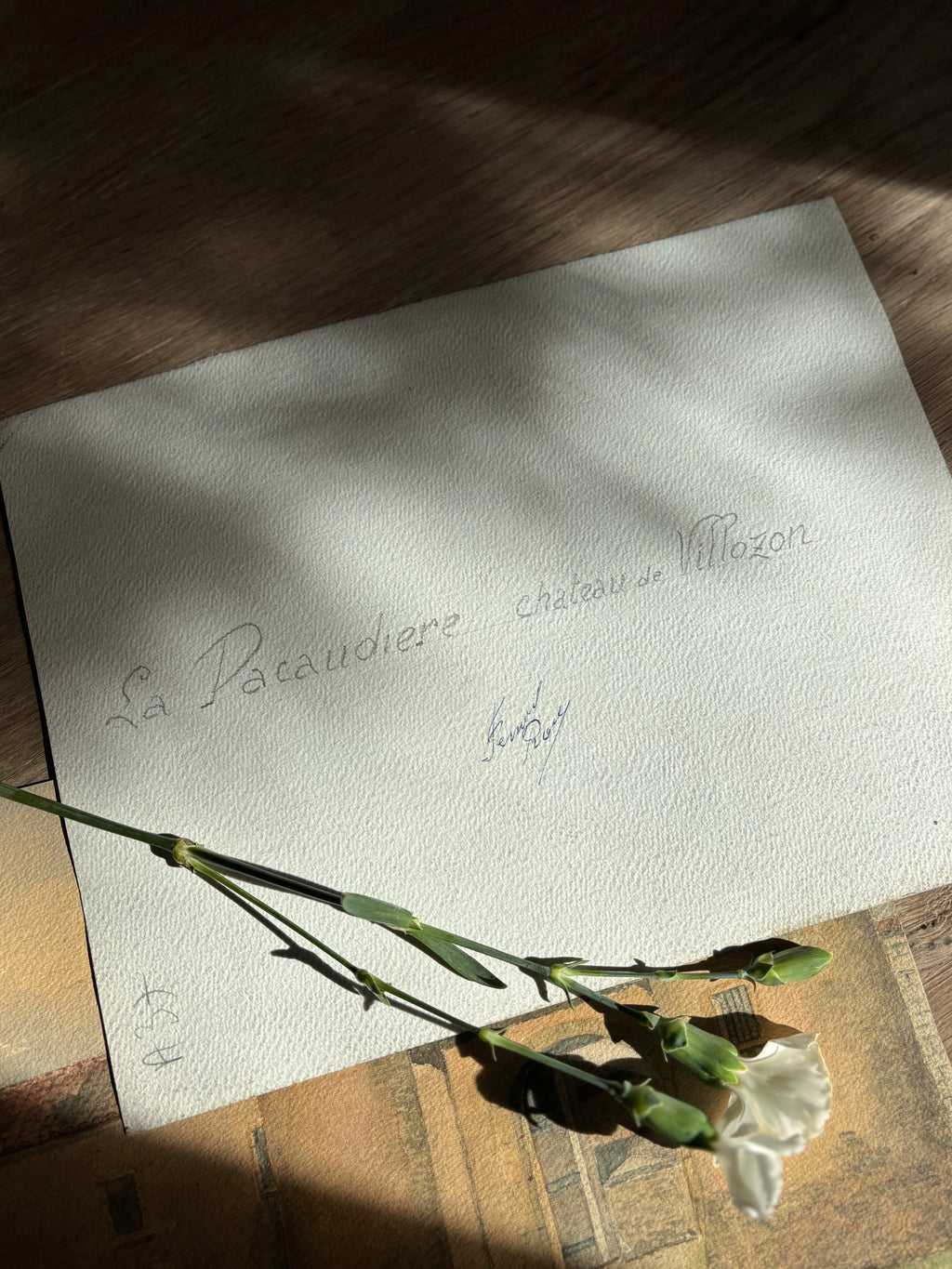 Mid 20th Century French Watercolor Painting | La Pacaudière, Château de Villozon