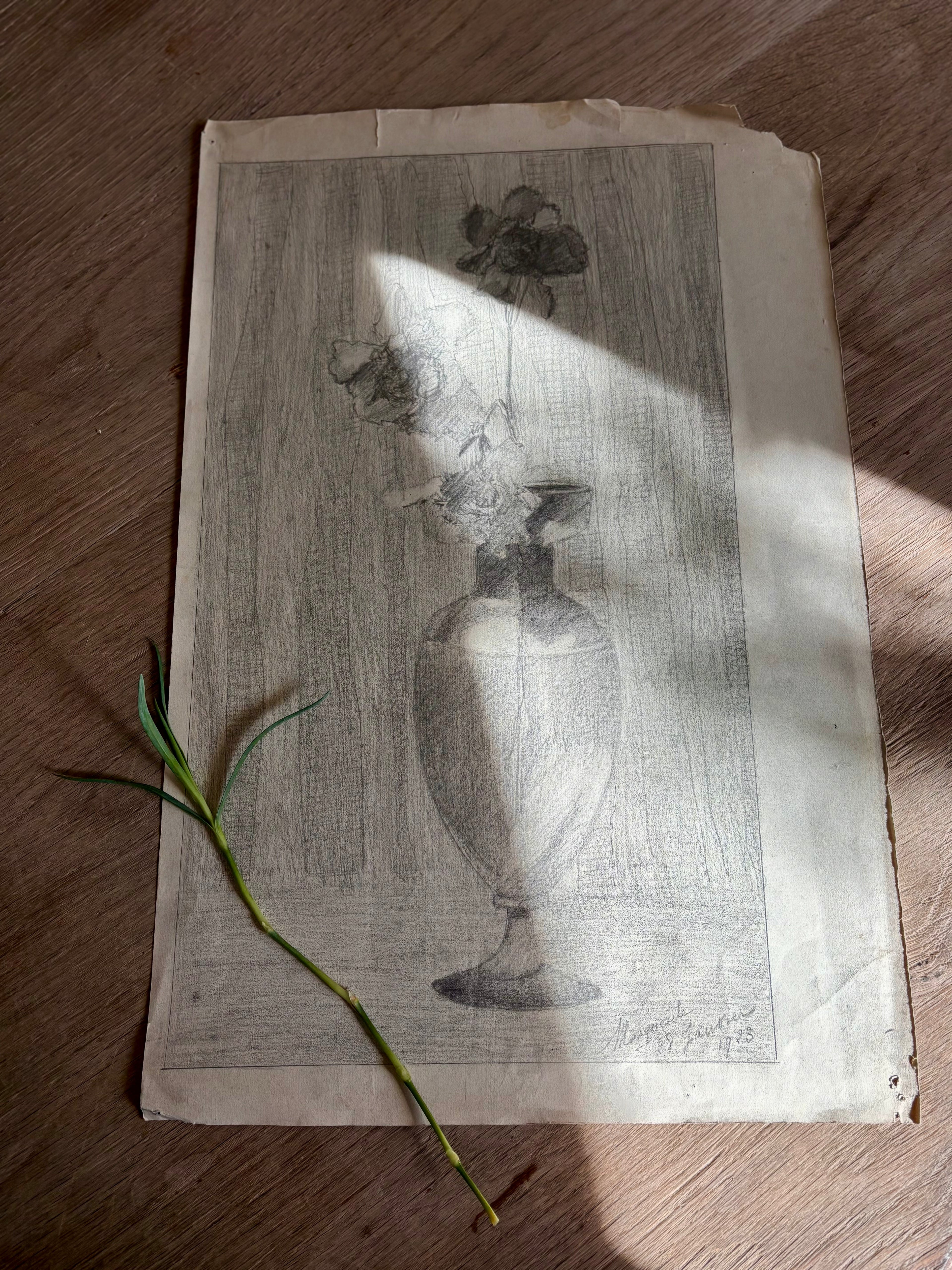 Antique French Charcoal Roses in a Vase Still Life Drawing, Signed