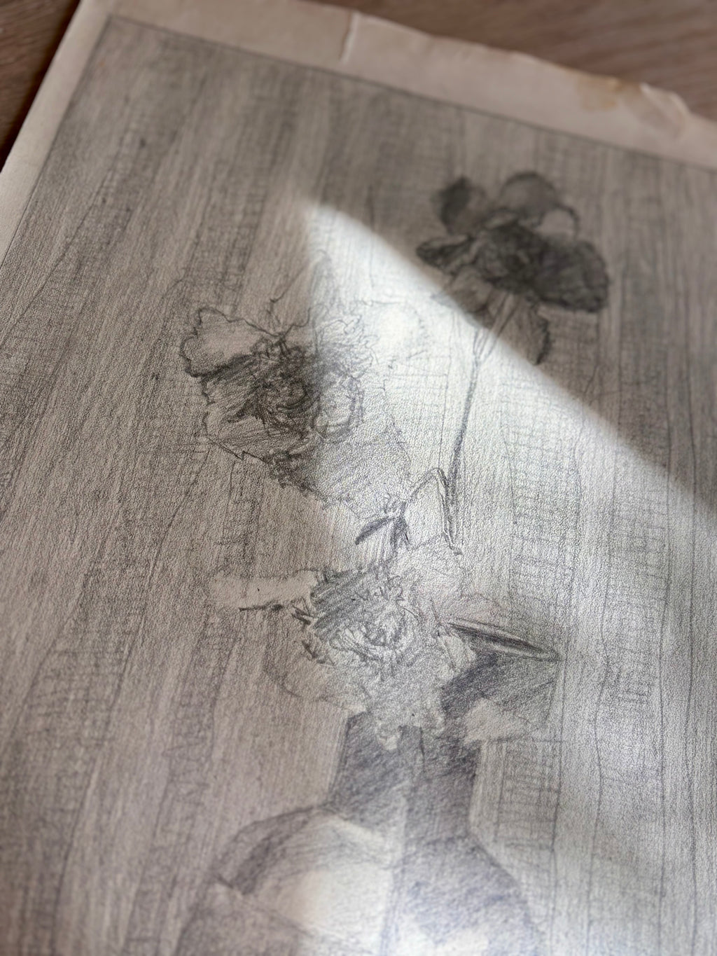 Antique French Charcoal Roses in a Vase Still Life Drawing, Signed