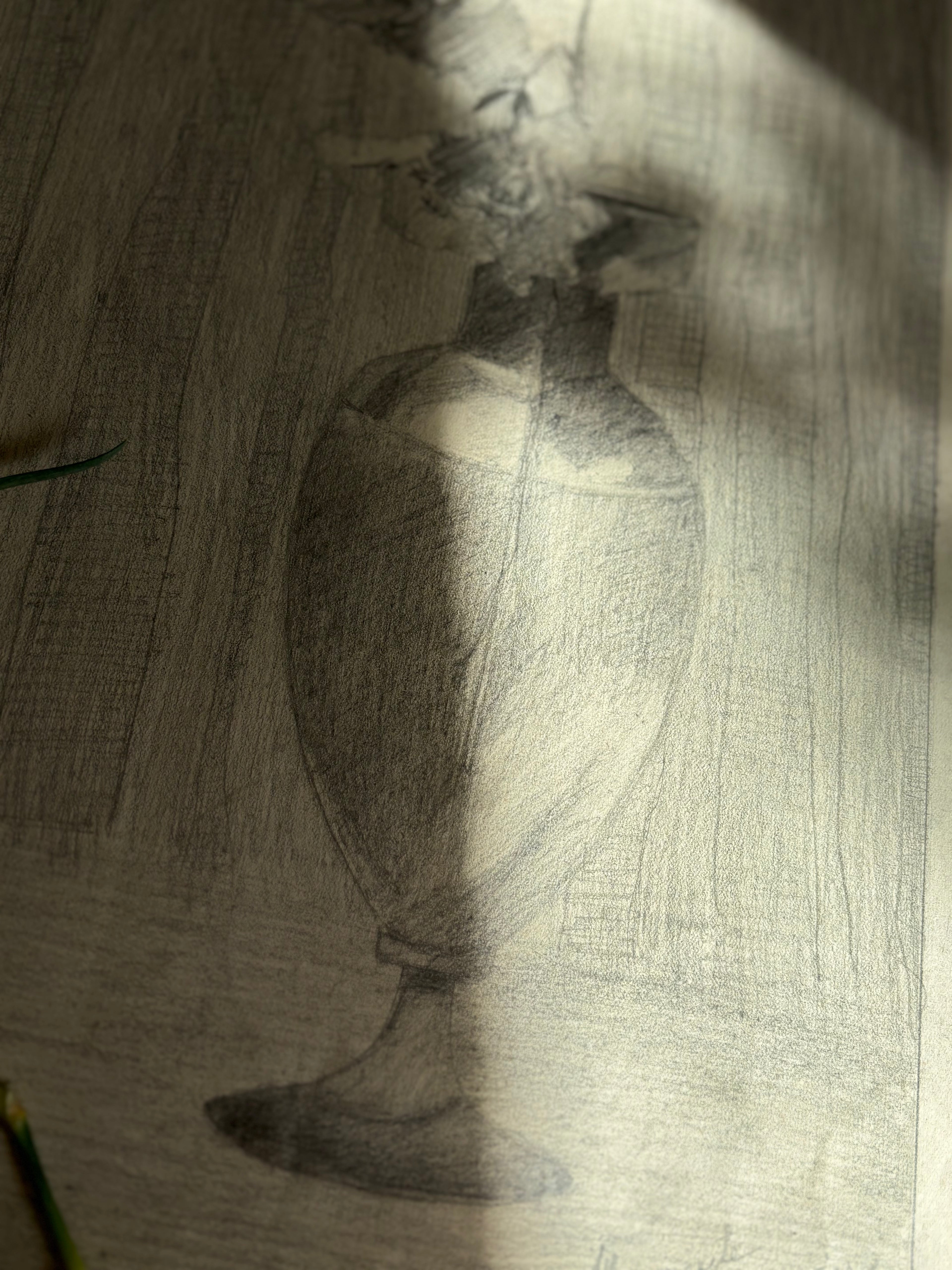 Antique French Charcoal Roses in a Vase Still Life Drawing, Signed