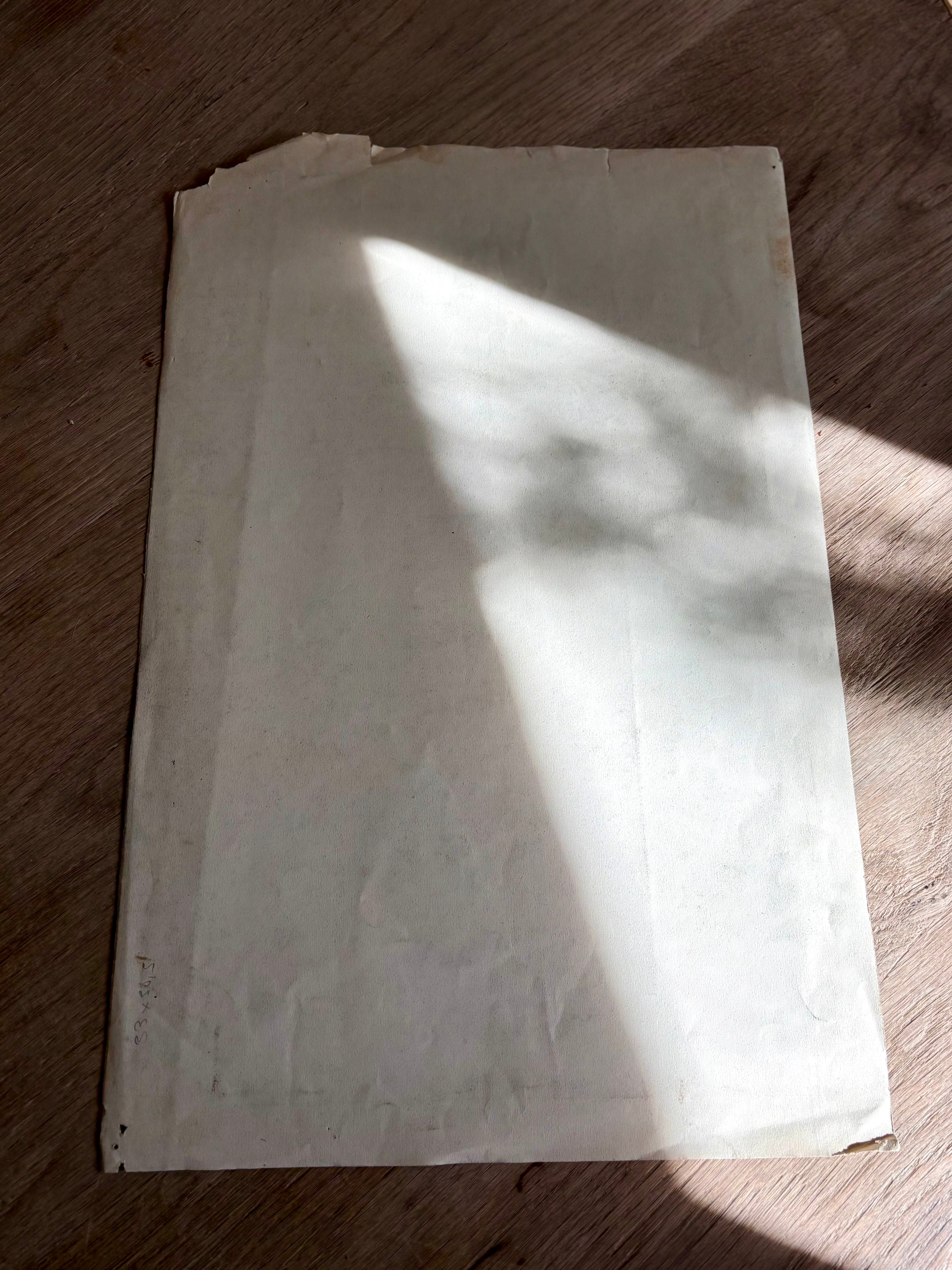 Antique French Charcoal Roses in a Vase Still Life Drawing, Signed