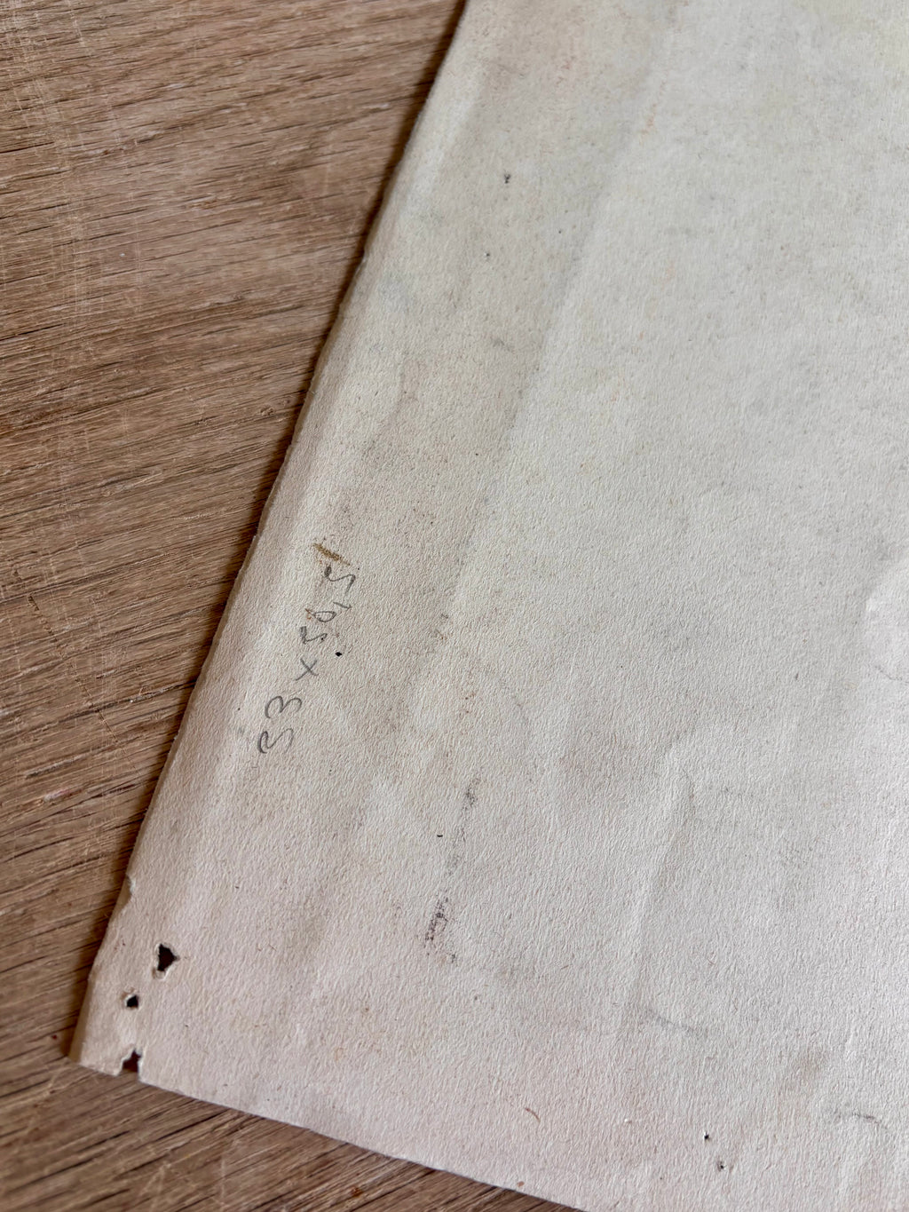 Antique French Charcoal Roses in a Vase Still Life Drawing, Signed